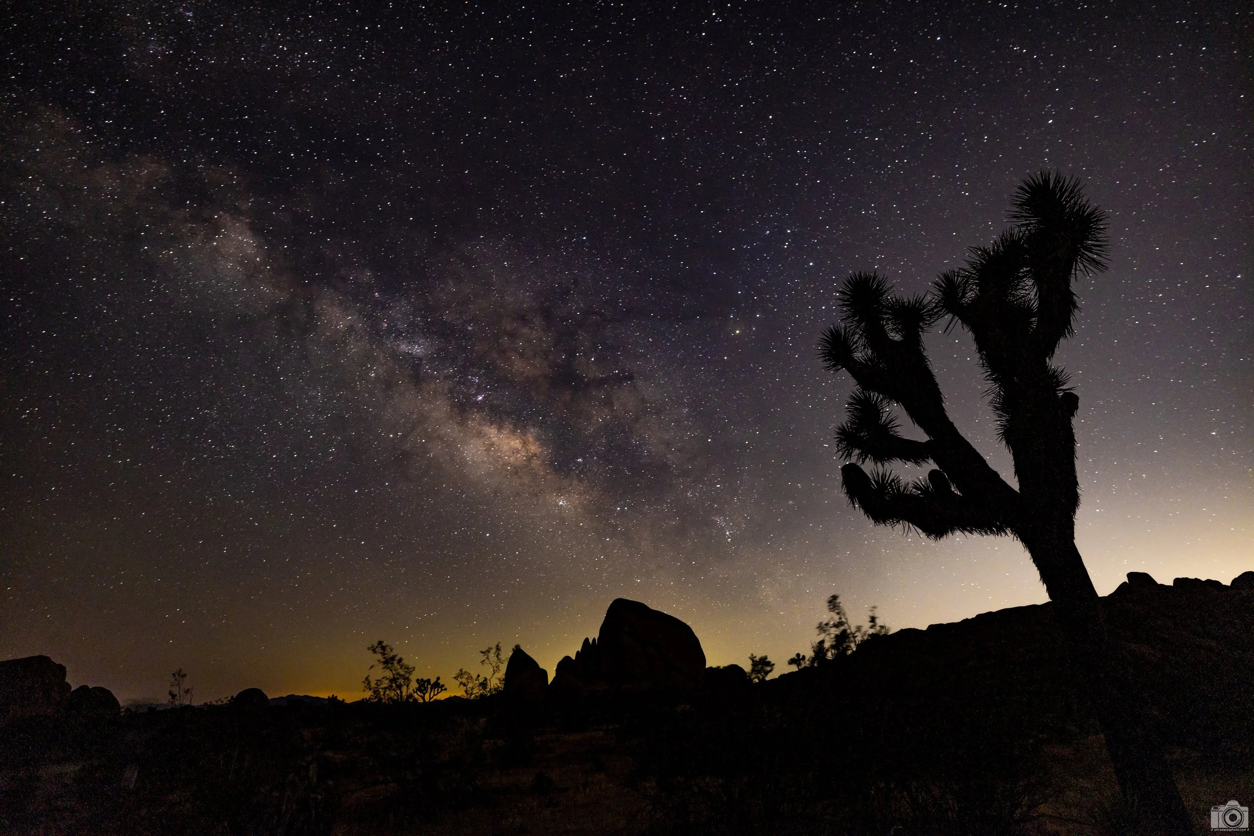 2024 - Trying to find the perfect combination of Rock, Tree, and Sky.  Shot with a Canon EOS R5 // RF 15-35mm @ 20mm f/2.8 ISO 1600 - 25s.  Tripod mounted.