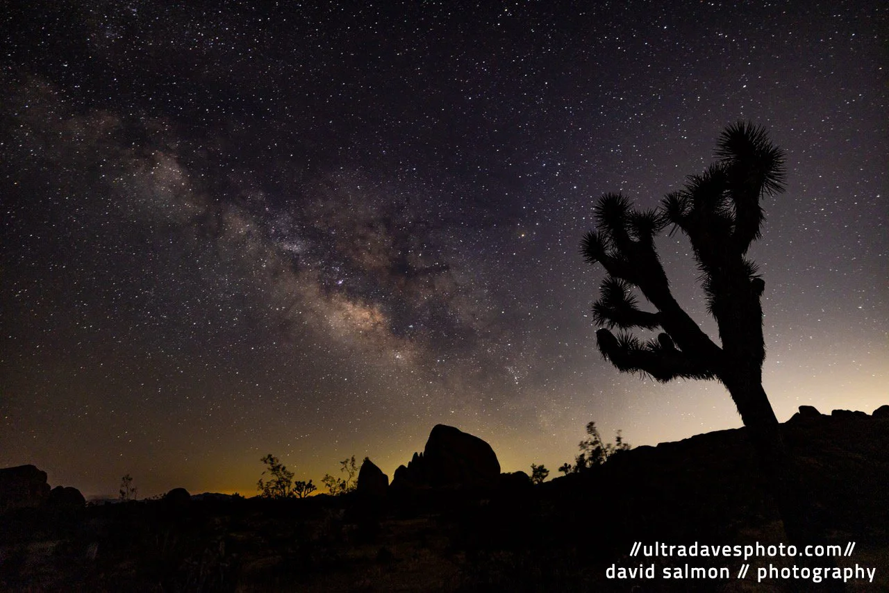 2024 - Trying to find the perfect combination of Rock, Tree, and Sky. Shot with a Canon EOS R5 // RF 15-35mm @ 20mm f/2.8 ISO 1600 - 25s. Tripod mounted.