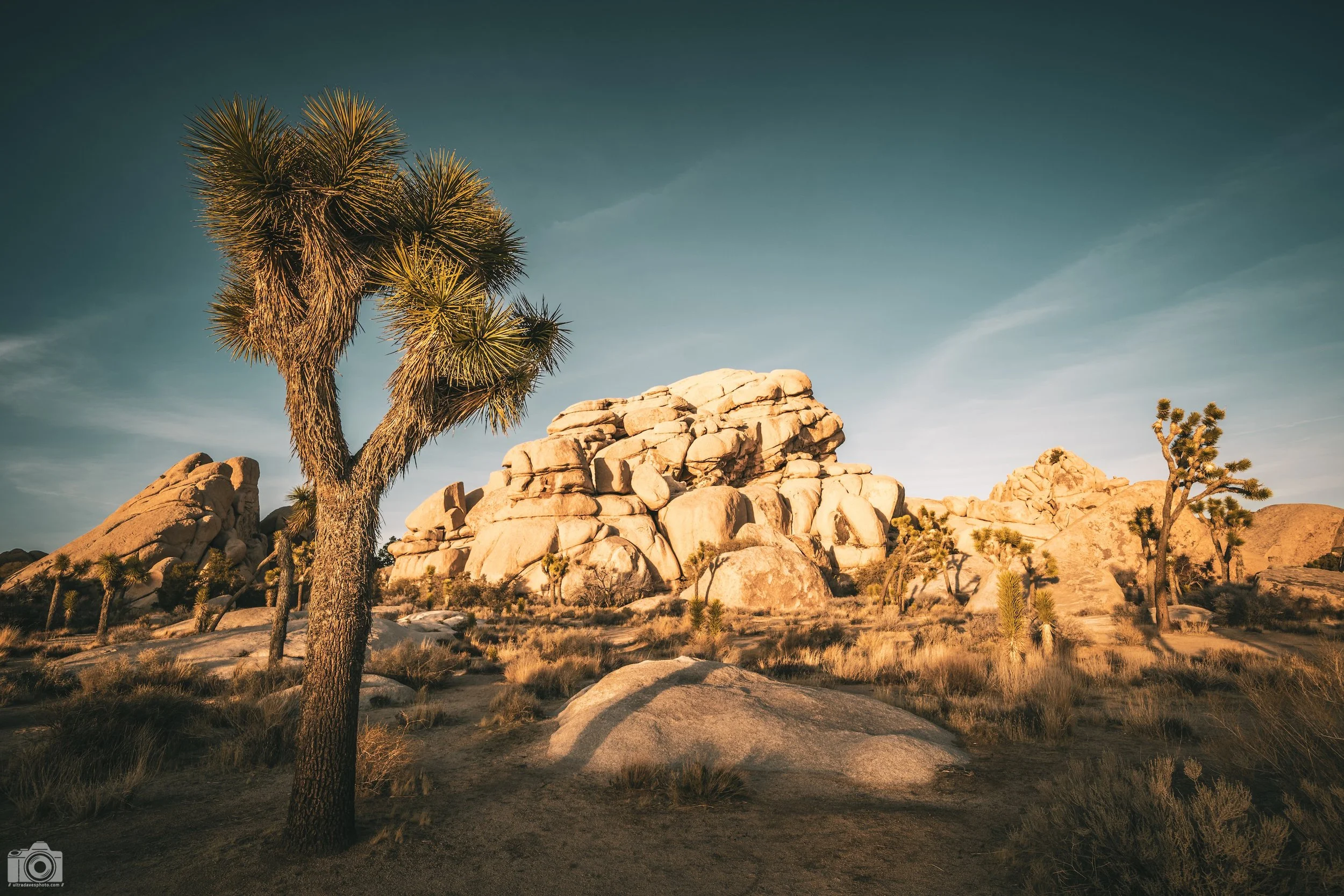 2025 - The Bordering Trees.  Shot with a Sony a7c II // FE 12-24mm G @ 18mm f/8 ISO 100 - 1/125s.