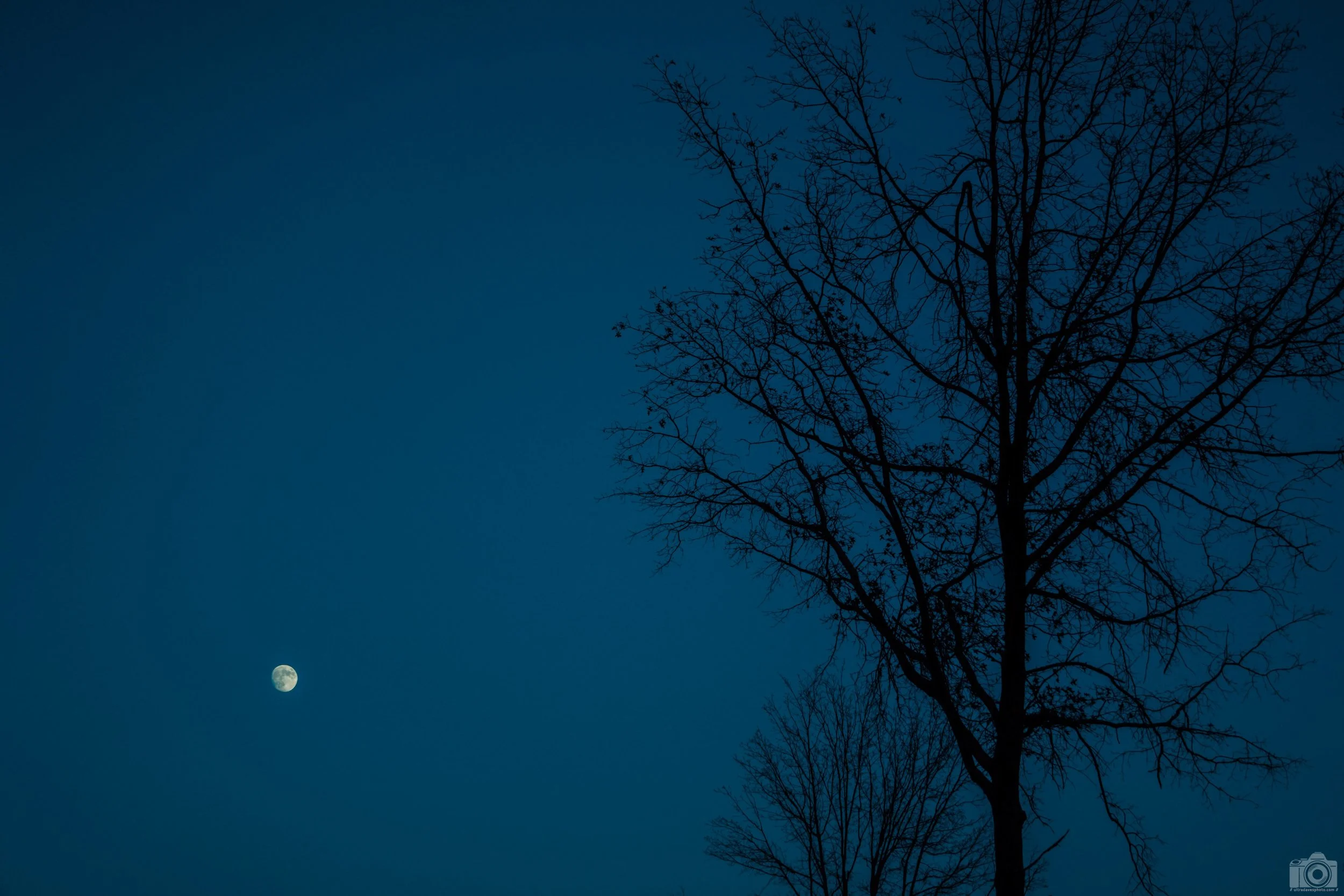 2024 - Blue Moon.  Shot with a Sony a7c II // FE 70-300mm @ 70mm G OSS f/4.5 ISO 400 - 1/1600s.