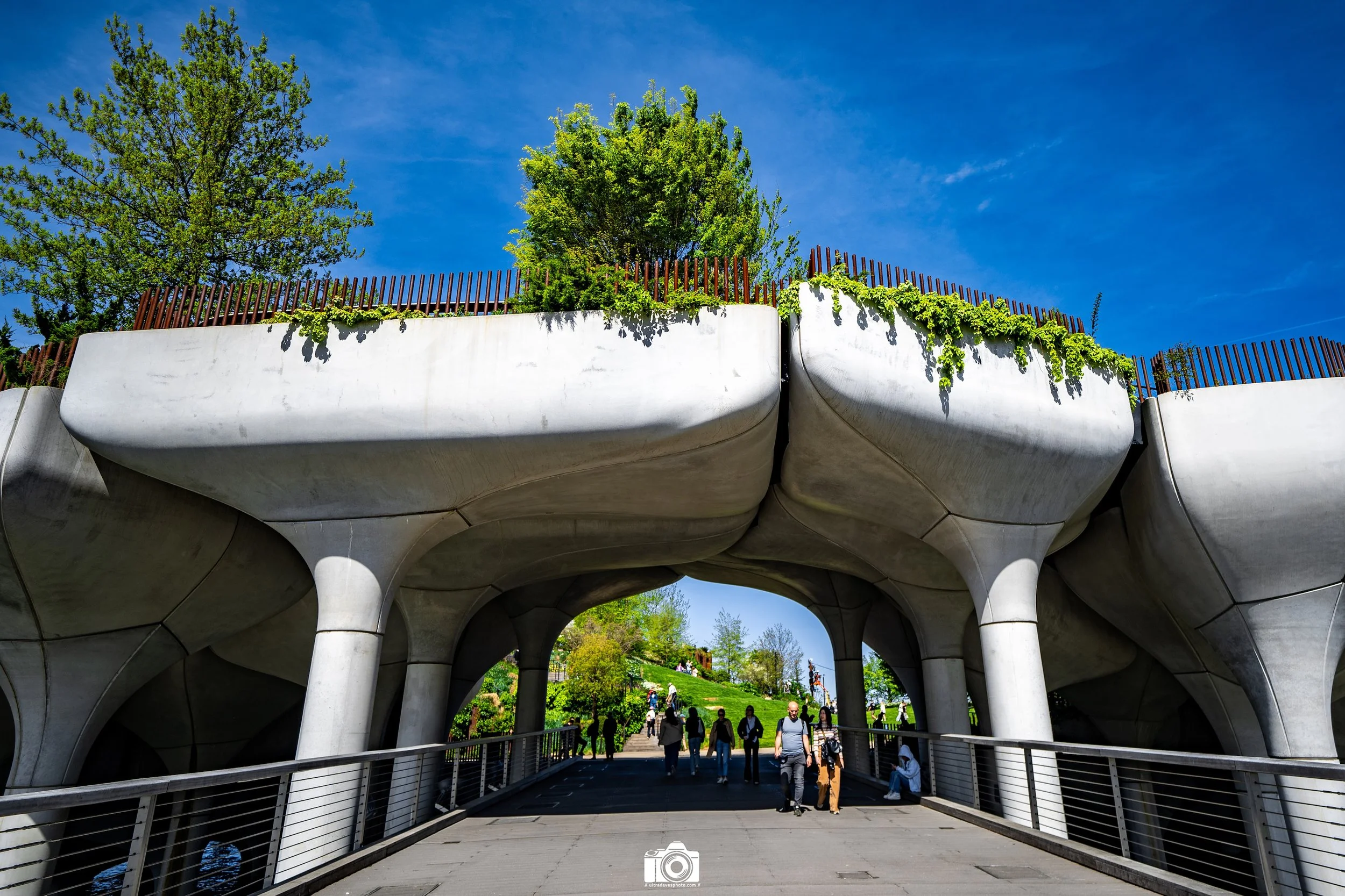NYC 2025 - Tunnel Vision.  Shot with a Sony a7c // 12-24mm G @ 18mm f/4 ISO 125 - 1/1600s.