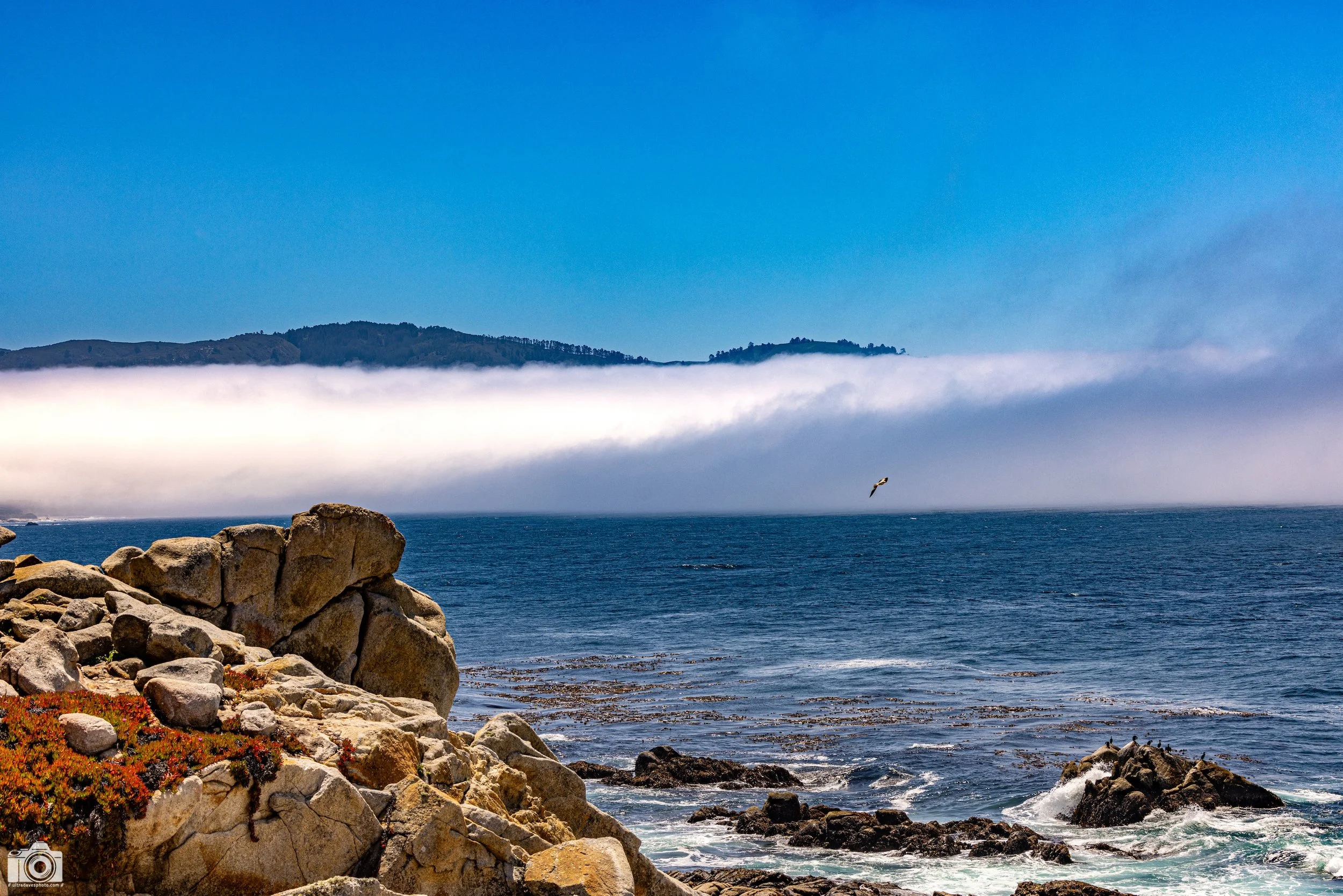 Flying Towards The Void.  Shot taken with a Canon EOS R5 with an RF 70-200mm f/2.8L @ 70mm - f/8 ISO 100 1/400s.