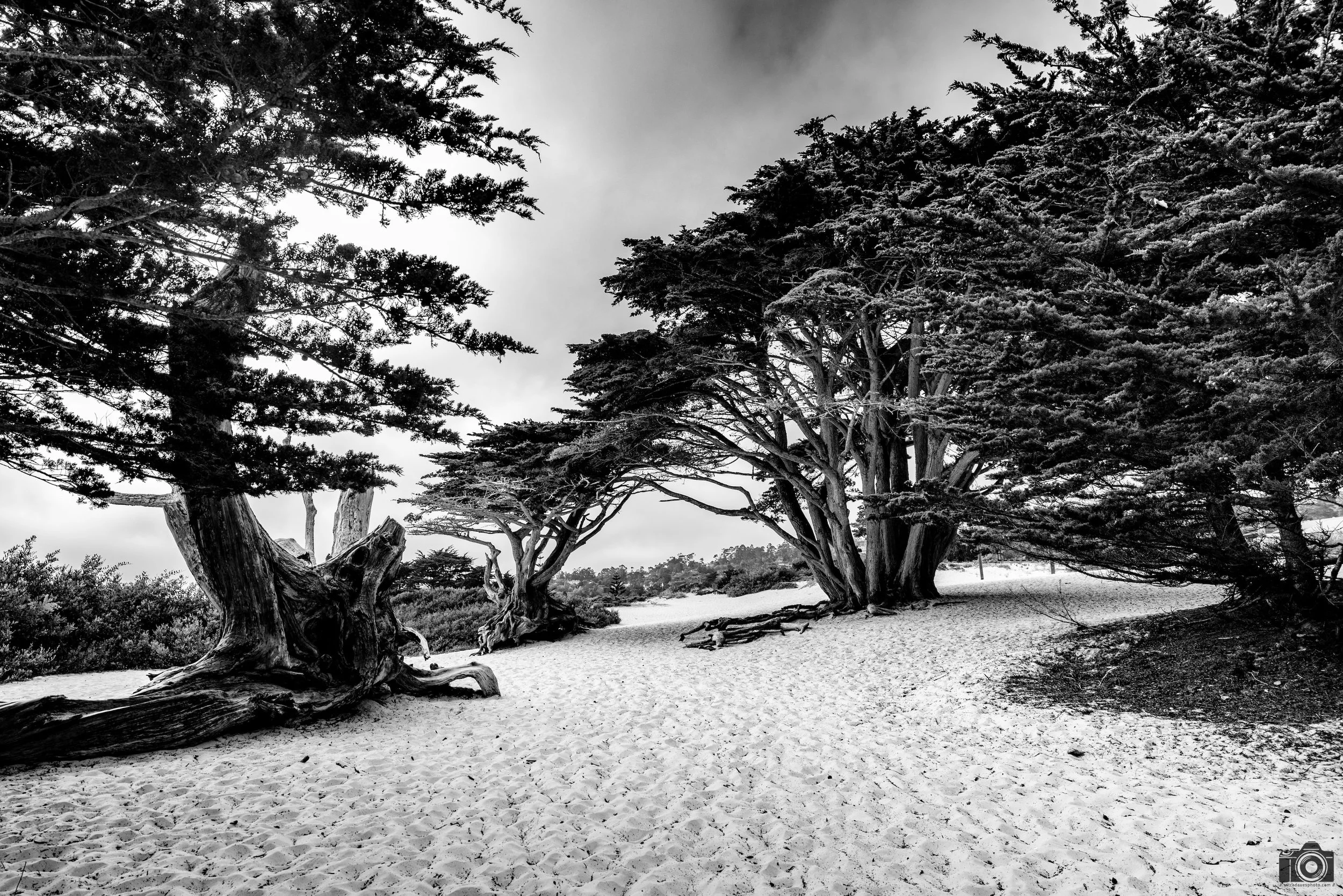Minimal Shade in B&W.  Shot taken with a Canon EOS R5 with an RF 24-70mm f/2.8L @ 24mm - f/5.6 ISO 100 1/160s.
