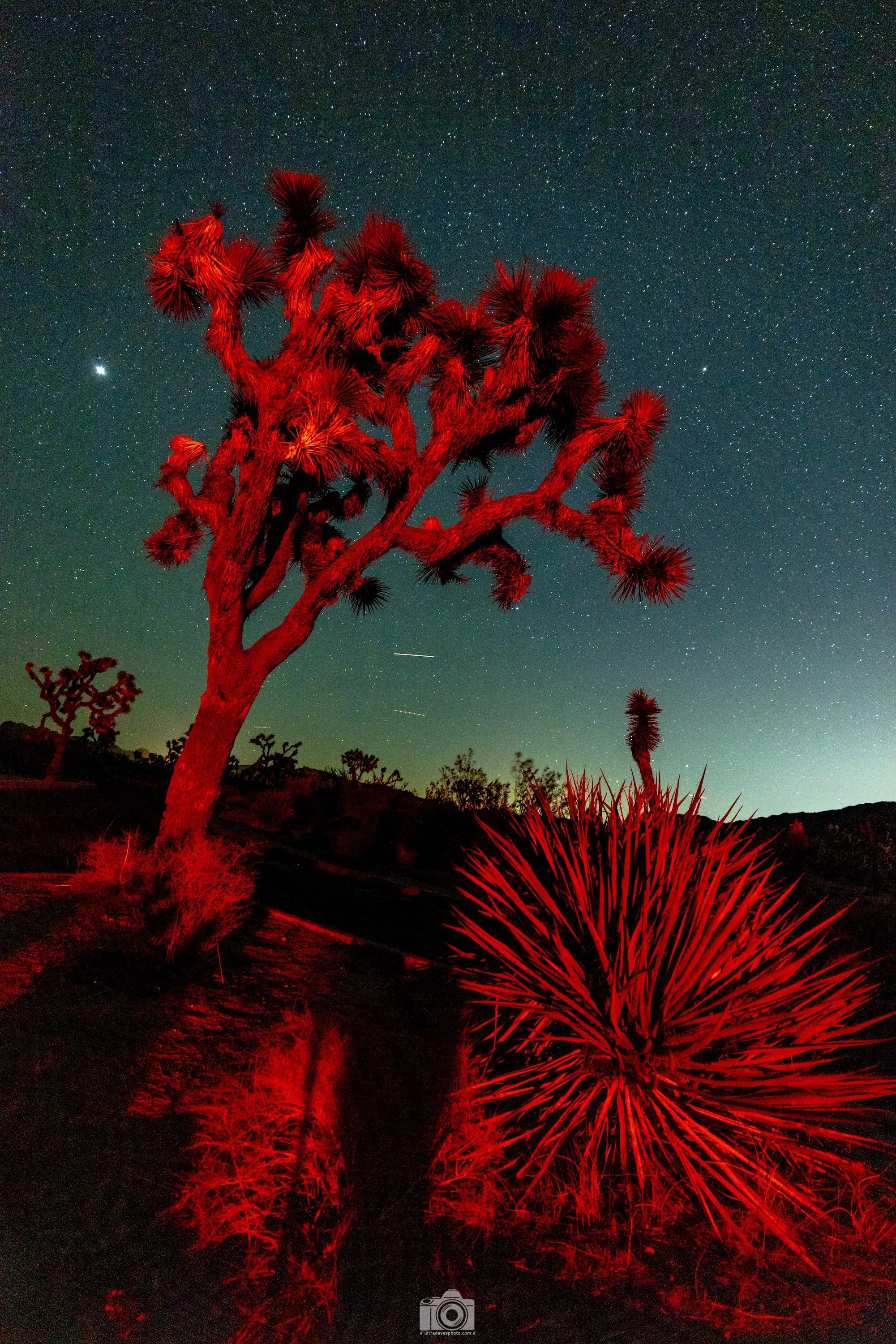2022 - Reverse Lights in the Dark.  Shot with a Canon EOS R5 // RF 15-35mm @ 17mm f2.8 ISO 3200 10s.  Tripod mounted.