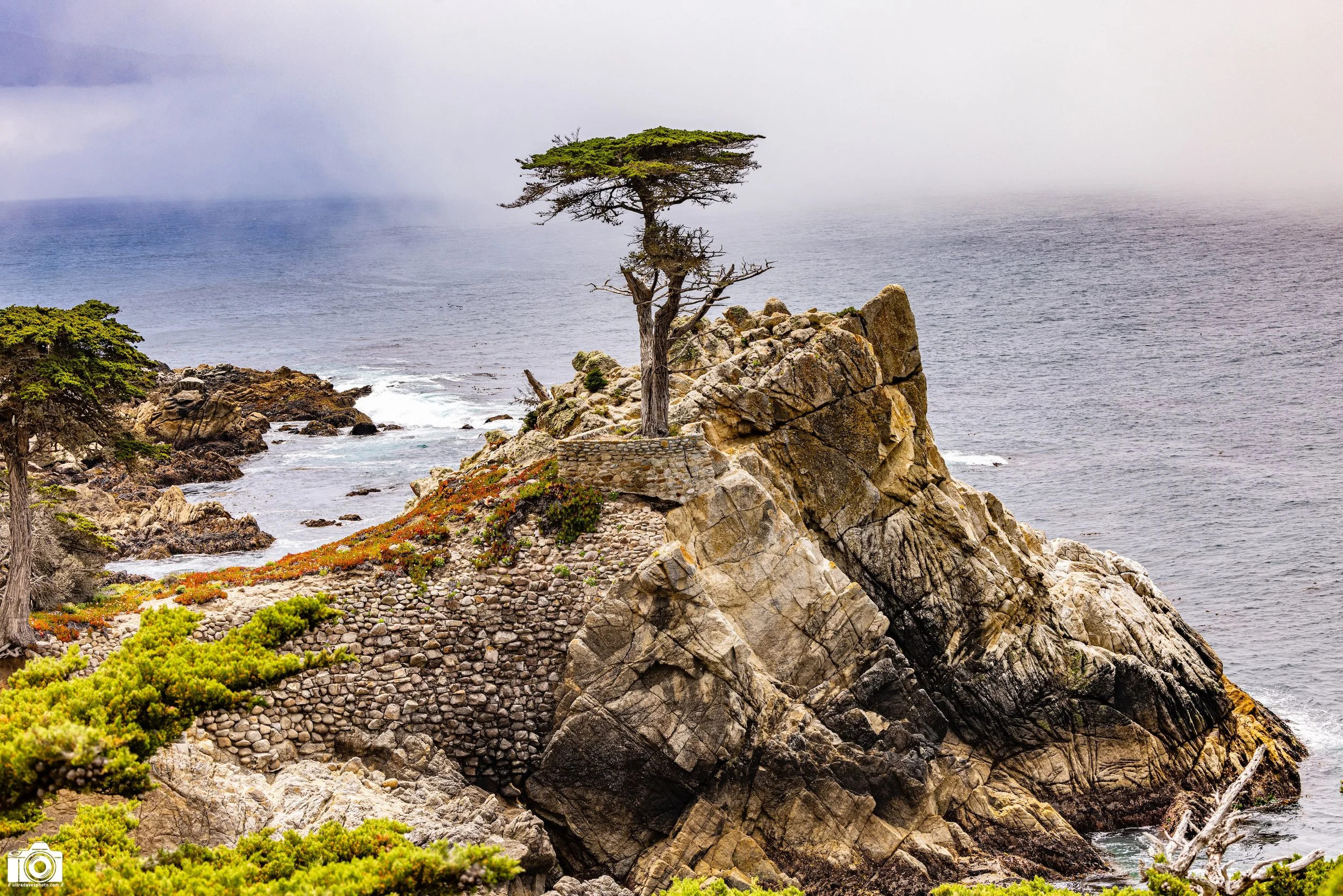 Monterey & Big Sur, CA - 2025