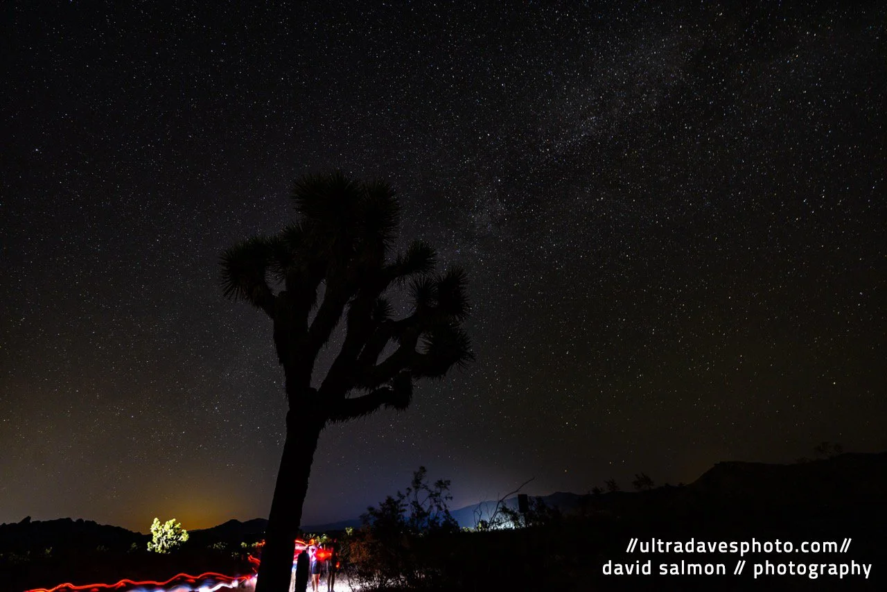 2024 - Vehicle lighting the way. It was a hot night as well. Shot with a Canon EOS R5 // RF 15-35mm @ 20mm f/2.8 ISO 1600 - 25s. Tripod mounted.