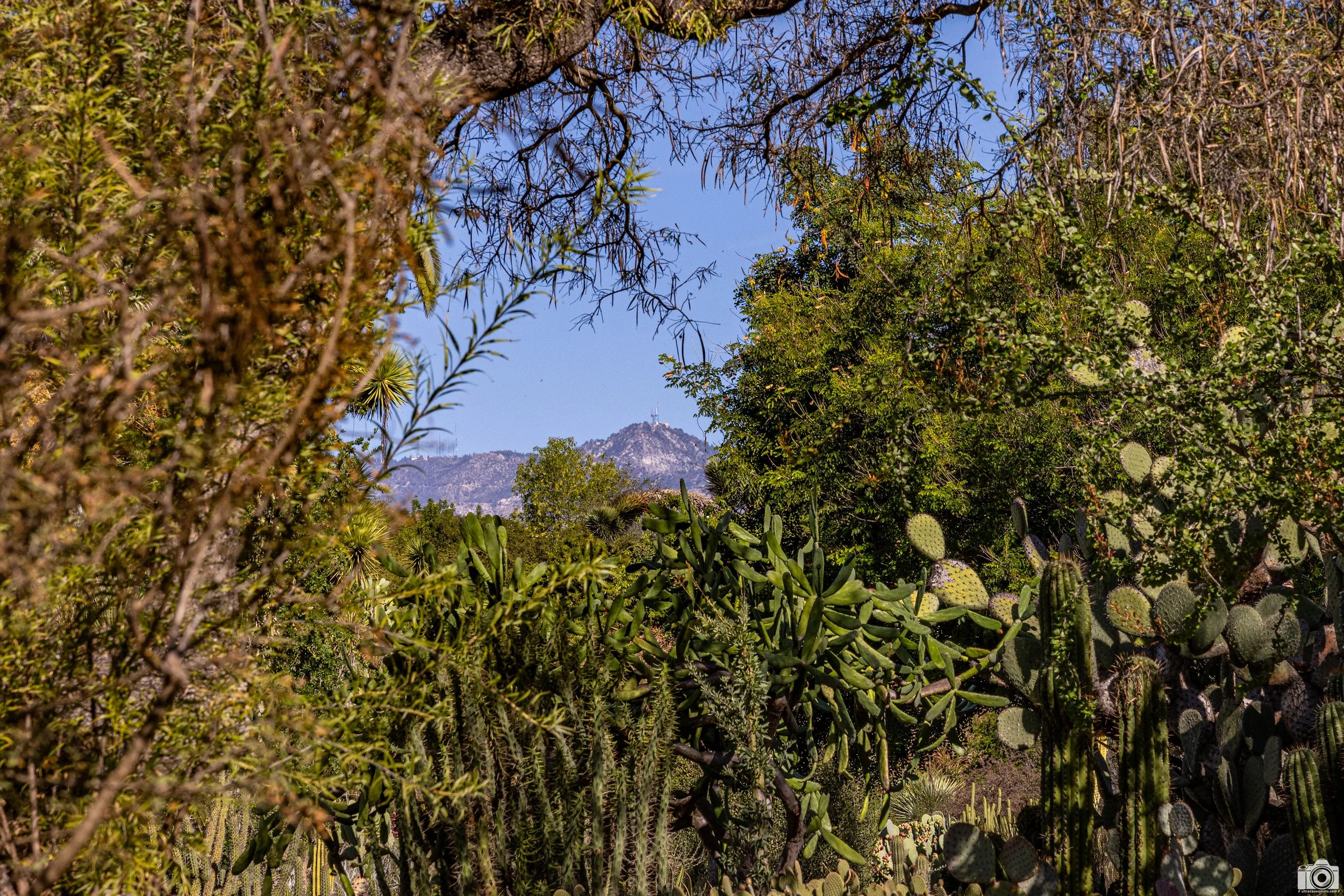2025 - Mt Wilson in the Beyond... Shot with a Canon EOS R5 // 24-70mm f/2.8 L @ 70mm f8 - ISO 200 - 1/250s.