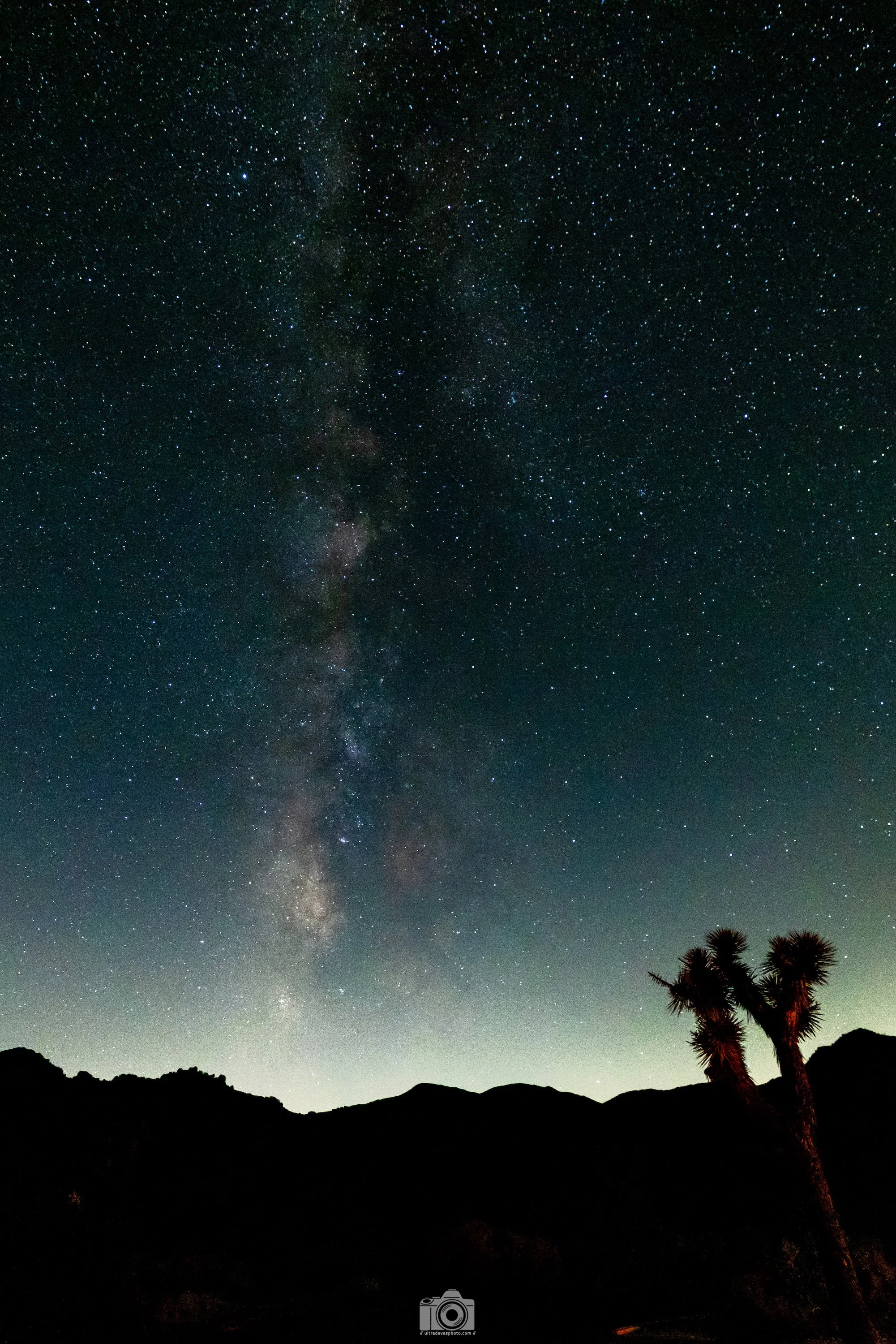 2022 - Just Look Up!  Shot with a Canon EOS R5 // RF 15-35mm @ 15mm f2.8 ISO 8000 5s.  Tripod mounted.