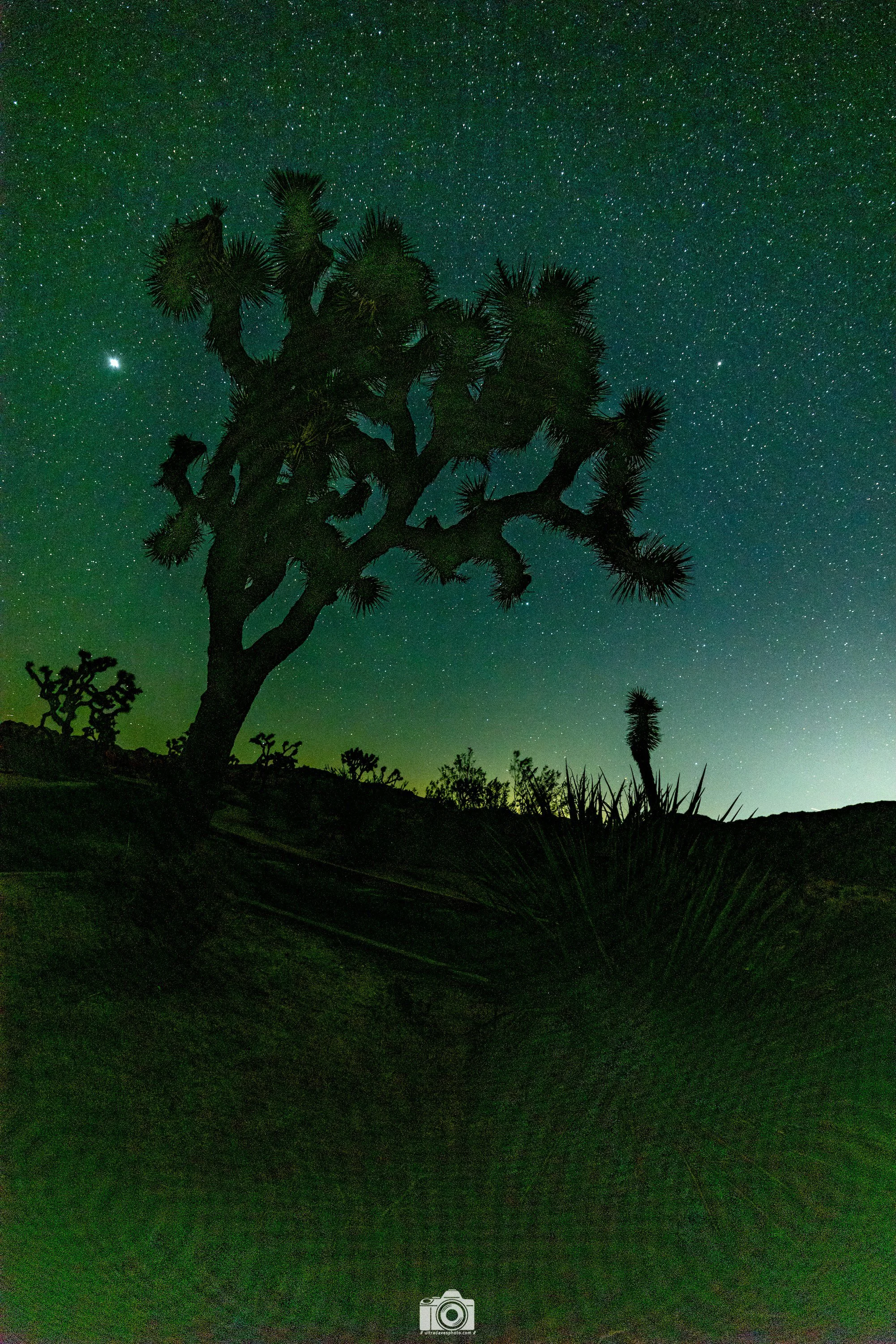 2022 - It sure is noisy out here!  Shot with a Canon EOS R5 // RF 15-35mm @ 15mm f2.8 ISO 3200 10s.  Tripod mounted.