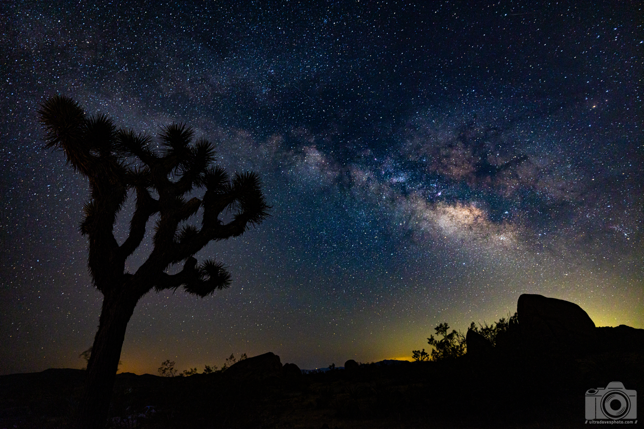 Silhouetted Joshua tree in a desert landscape under a starry night sky with the Milky Way galaxy visible.