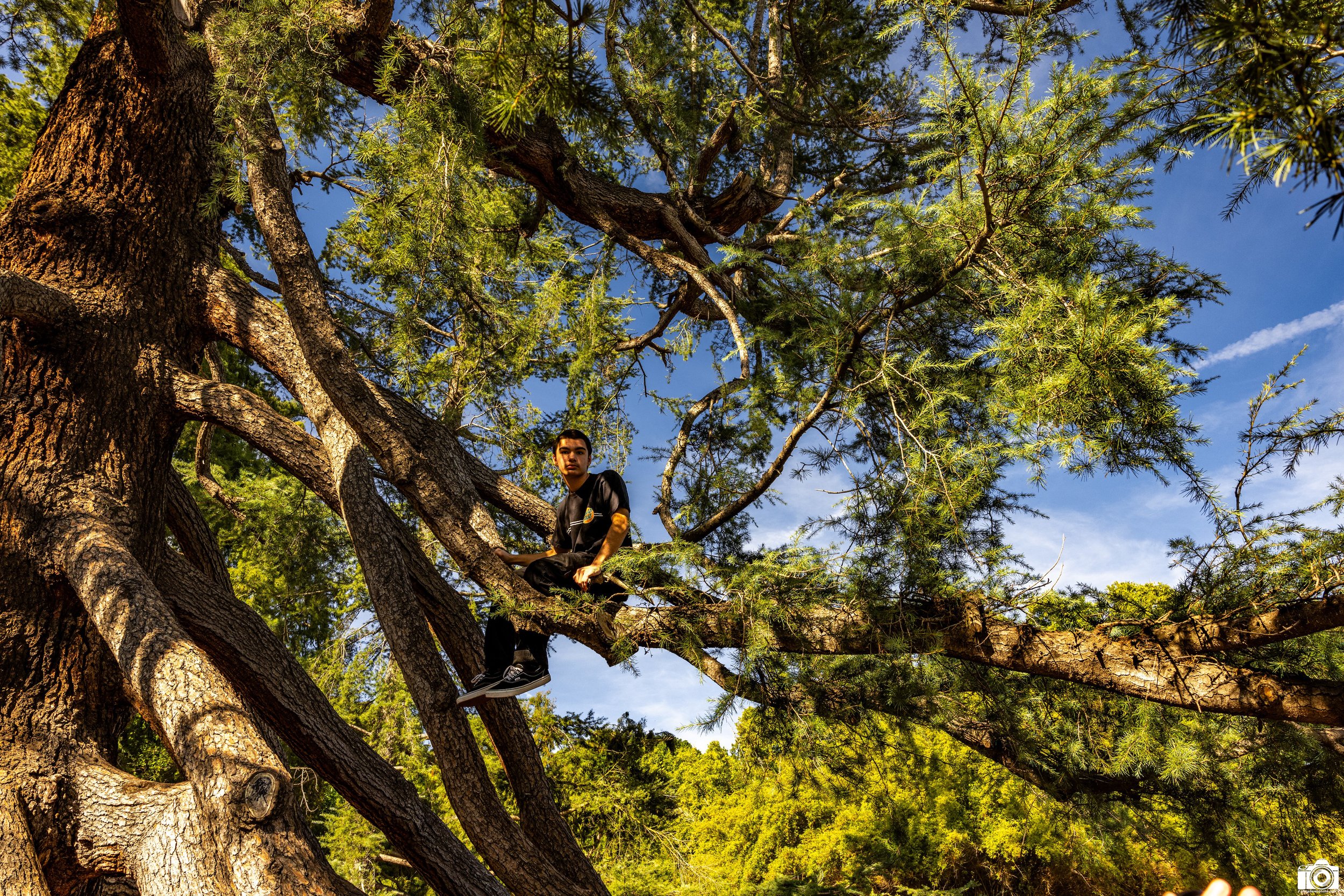 2025 - Wildlife In The Park.  Shot with a Canon EOS R5 // 24-70mm f/2.8 L @ 24mm f/8 - ISO 400 - 1/250s.