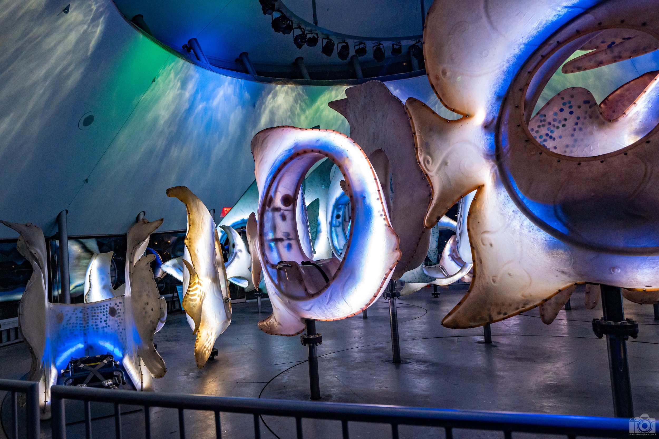 2024 - Watching the Colors Change. Shot with a Sony a7c II // FE 12-24mm G @ 24mm f/4 ISO 6400 - 1/800s.