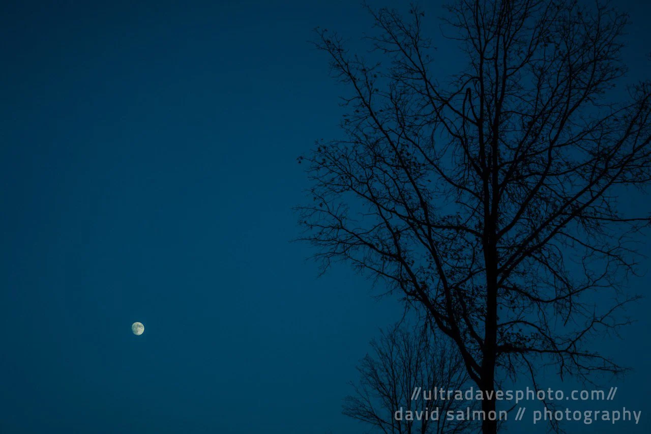 Blue Moon. Shot with a Sony a7c II // FE 70-300mm @ 70mm G OSS f/4.5 ISO 400 - 1/1600s.