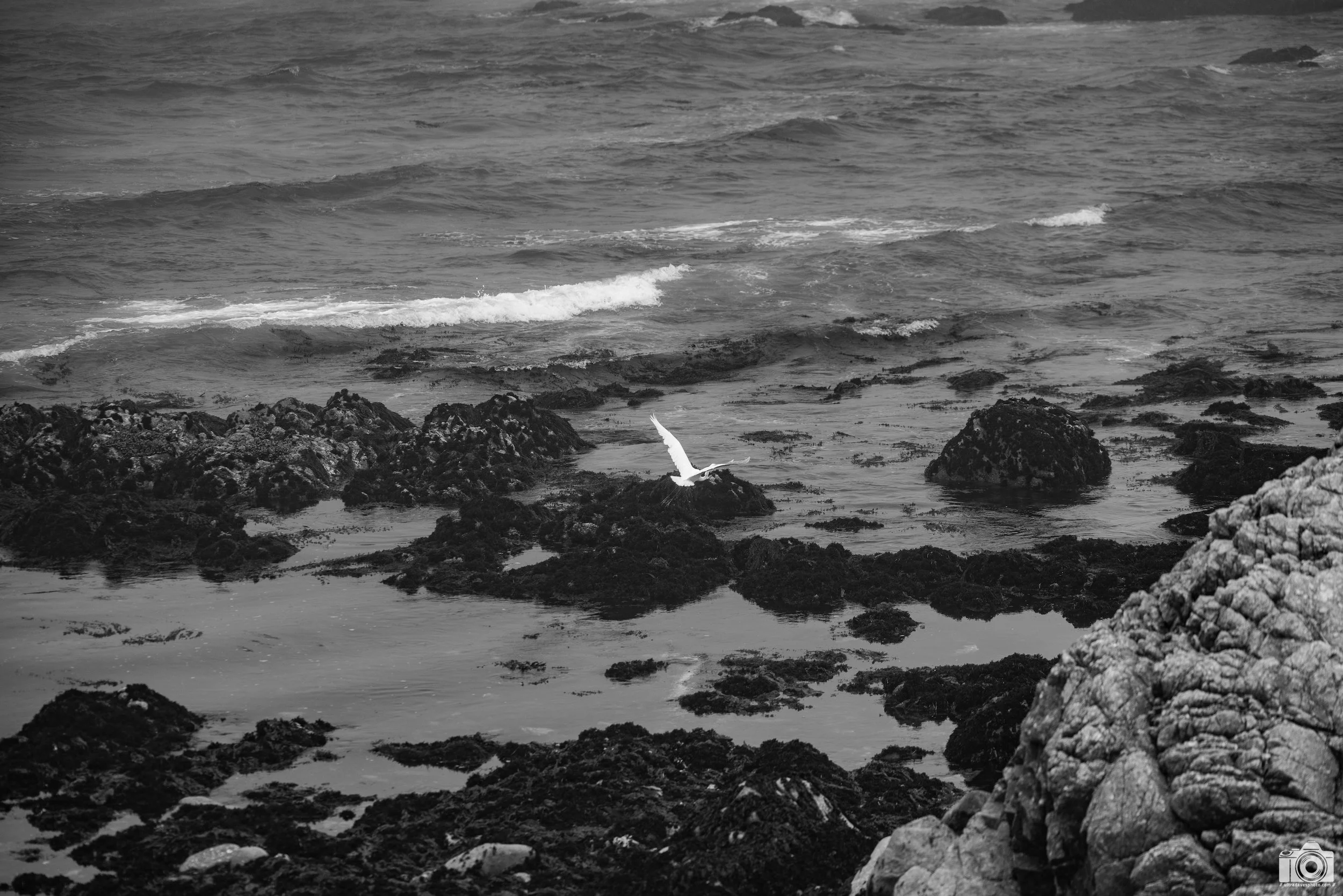 Above The Beach.  Shot taken with a Canon EOS R5 with an RF 70-200mm f/2.8L @ 135mm - f/2.8 ISO 100 1/3200s.