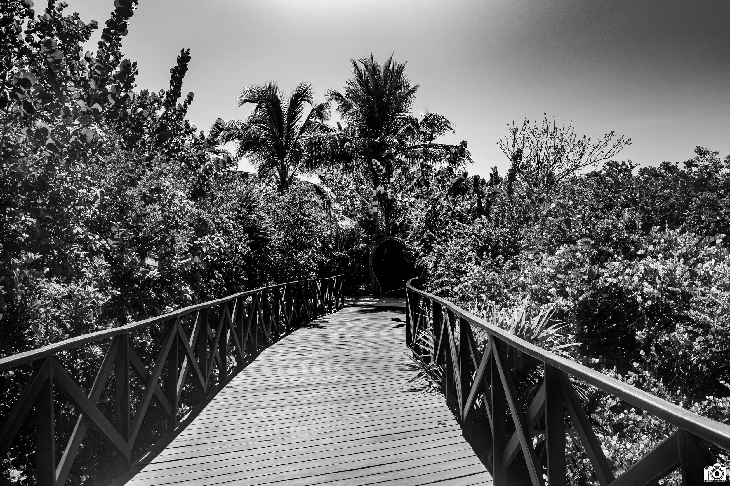 This Path Leads to a Heart... in B&W.

The wooden path from the main building leads you down to the pool area.  Before getting there you will find a wooden heart.  One of 2 that we saw.  The other one can be found as you enter the beach.

Shot taken 