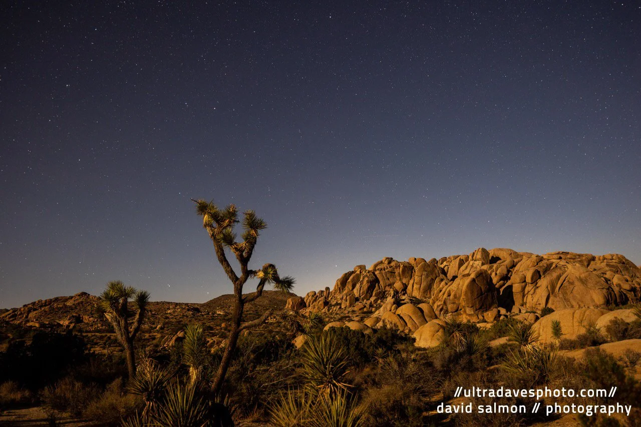2021 - Jumbo Rocks @ Night. Shot with a Canon EOS R5 // RF 15-35mm @ 27mm f/2.8 ISO 400 - 20s. Tripod mounted.