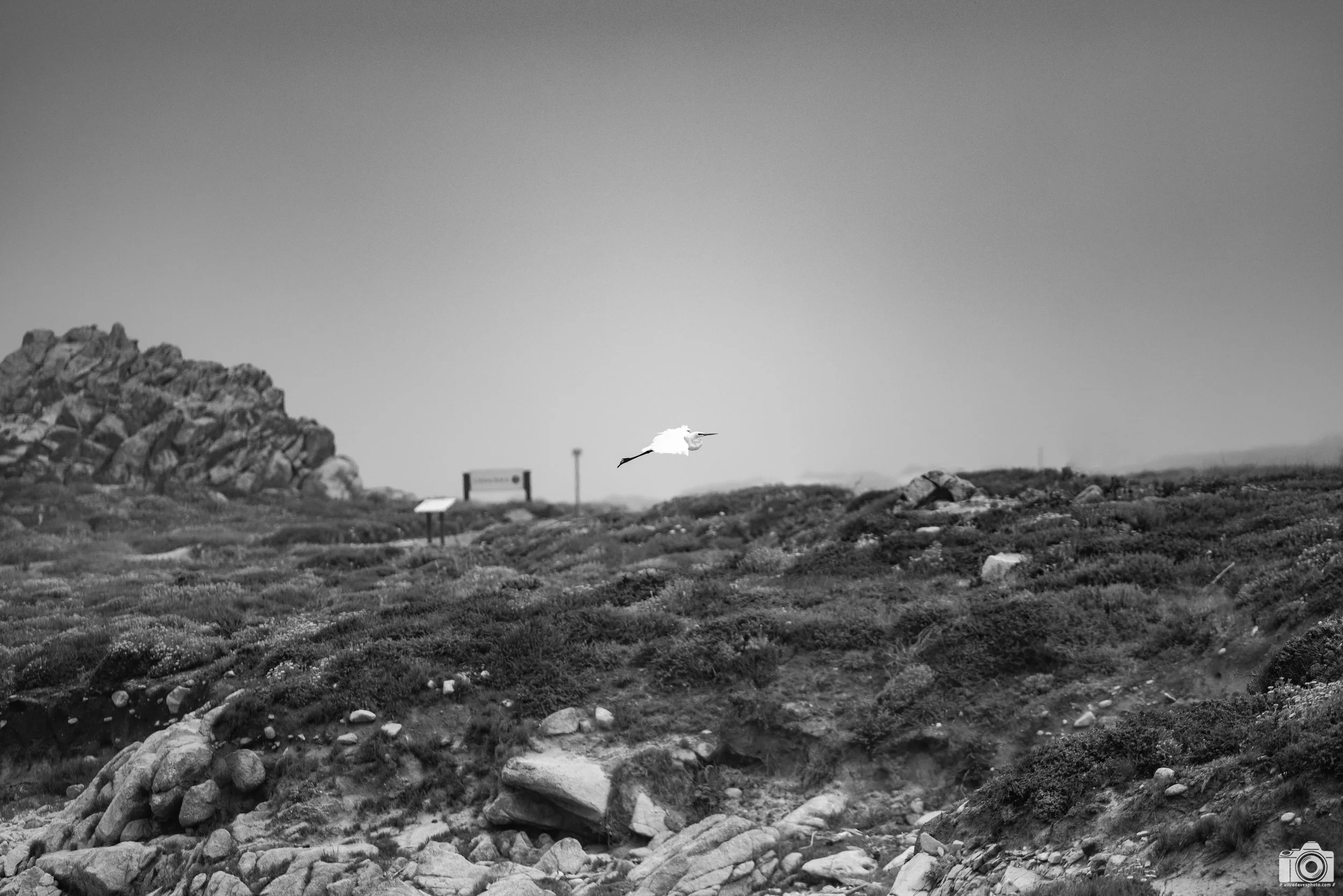 I Wanna Go Higher.  Shot taken with a Canon EOS R5 with an RF 70-200mm f/2.8L @ 135mm - f/2.8 ISO 100 1/3200s.