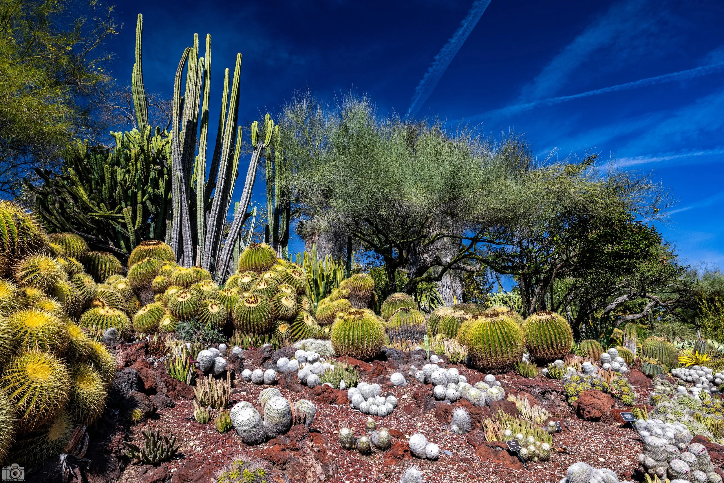 2025 - The Thorn Garden.  Shot with a Canon EOS R5 // 24-70mm f/2.8 L @ 24mm f/8 - ISO 200 - 1/400s.