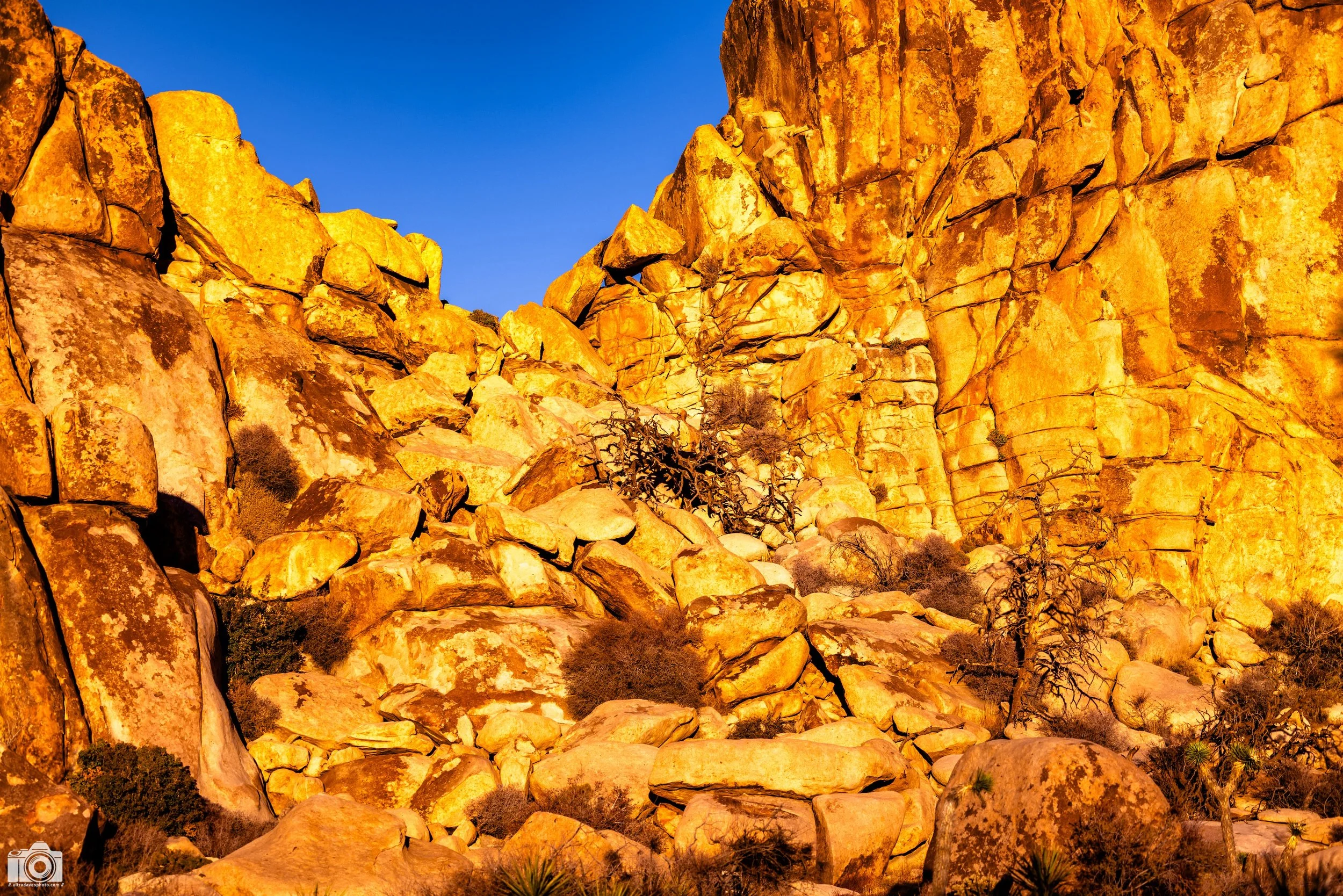 2024 - The Golden Palace of Rocks.  Shot with a Canon EOS R5 // RF 70-200mm @ 95mm f/2.8 ISO 100 - 1/2000s.