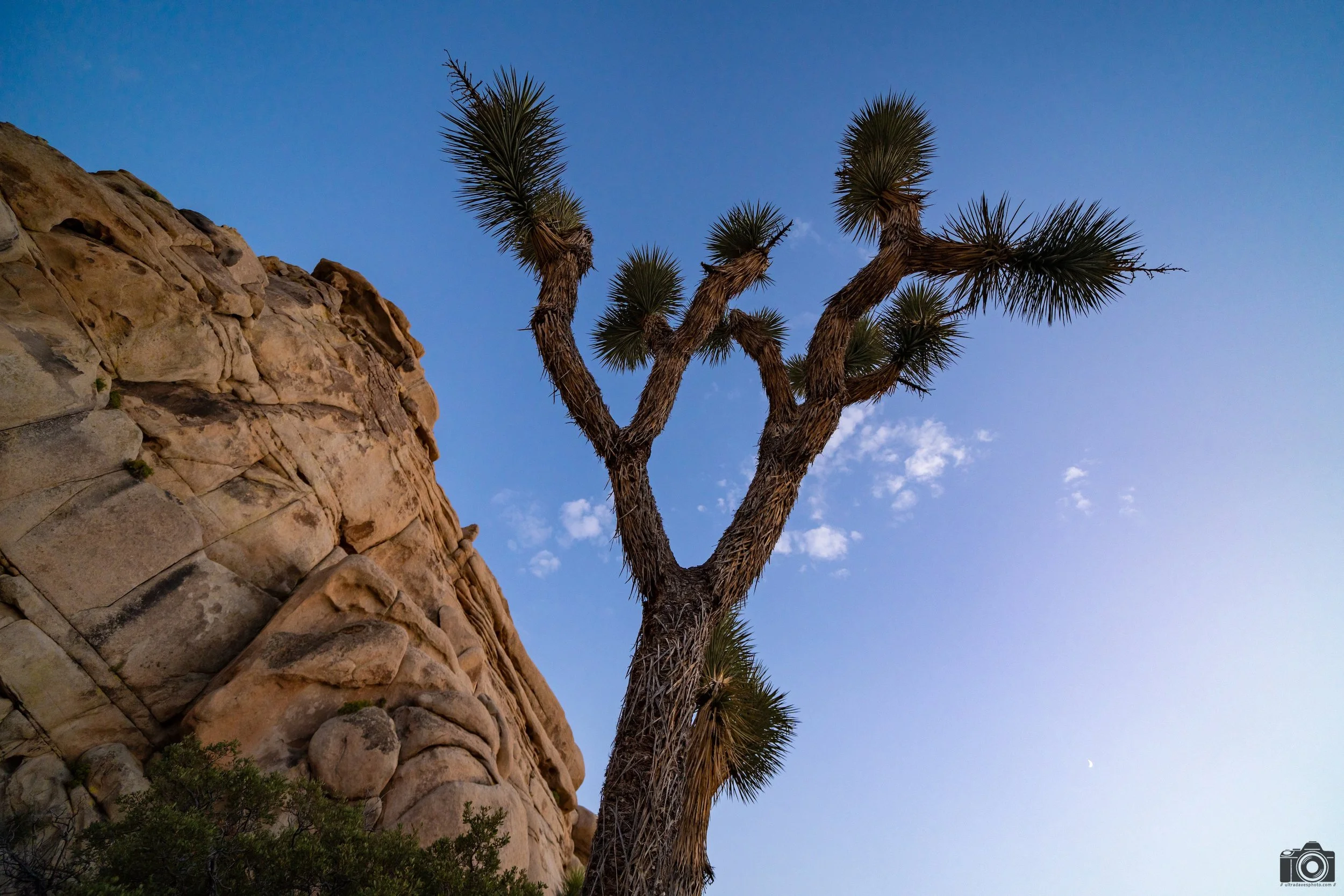 2024 - Reach for the Sky!  Shot with a Sony a7c II // FE 12-24mm G @ 12mm f/4 ISO 640 - 1/100s. 