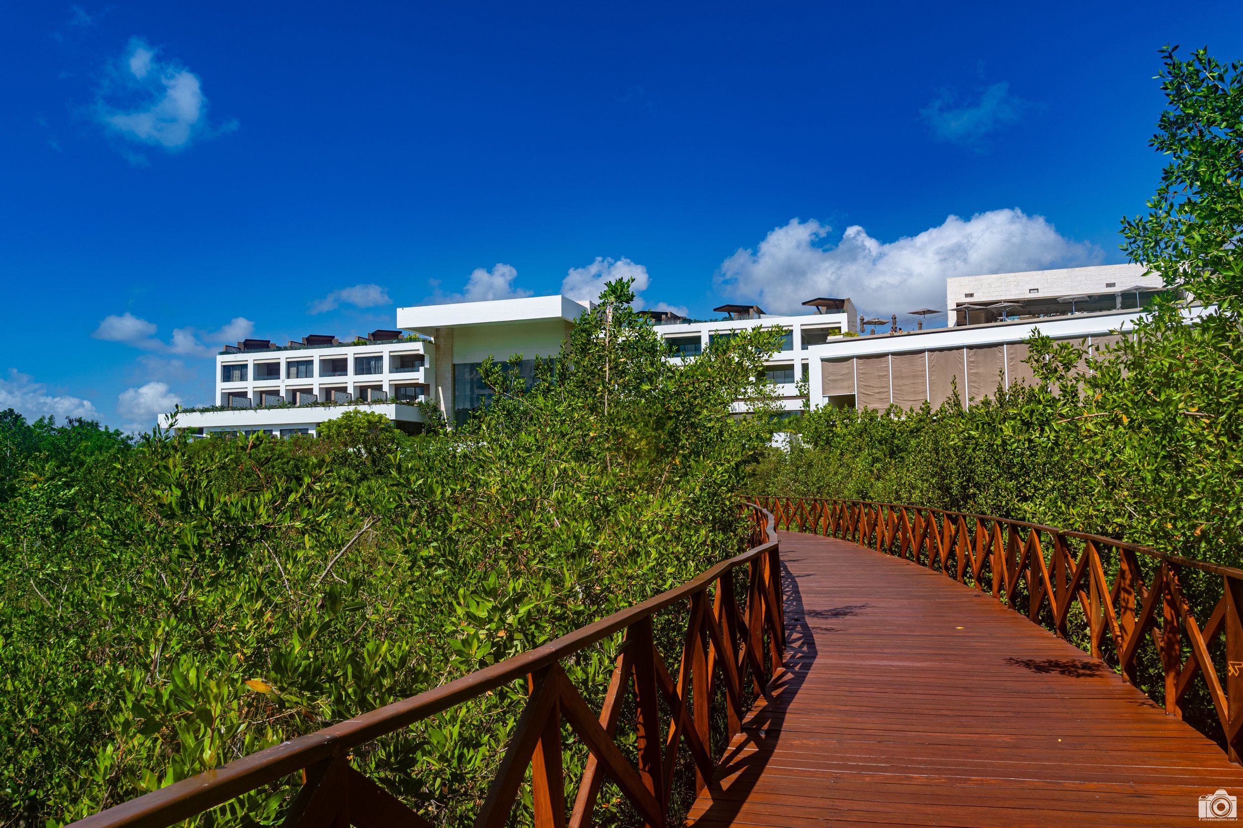 The Mid-Point.

From the main entryway which is actually on the 3rd Floor (it was quite confusing at times)... there is this wooden walkway down the to the pool area amongst the greenery.  

Shot taken with a Sony a7C // FE 28-60mm @ 28mm - F11 - ISO
