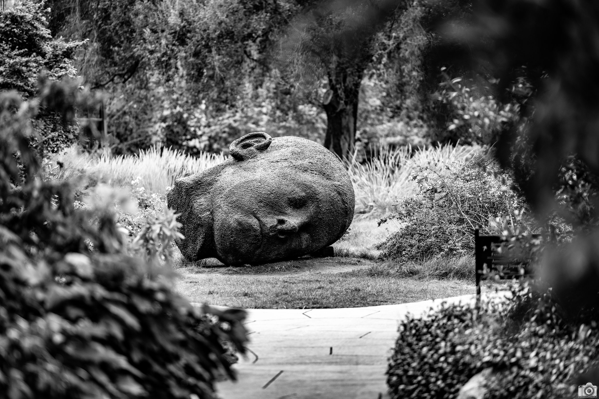 2023 - Just A Stone's Throw Away... in B&W.  Shot with a Canon EOS R5 // 70-200mm f/2.8 L @ 182mm f2.8 - ISO 125 - 1/400s.