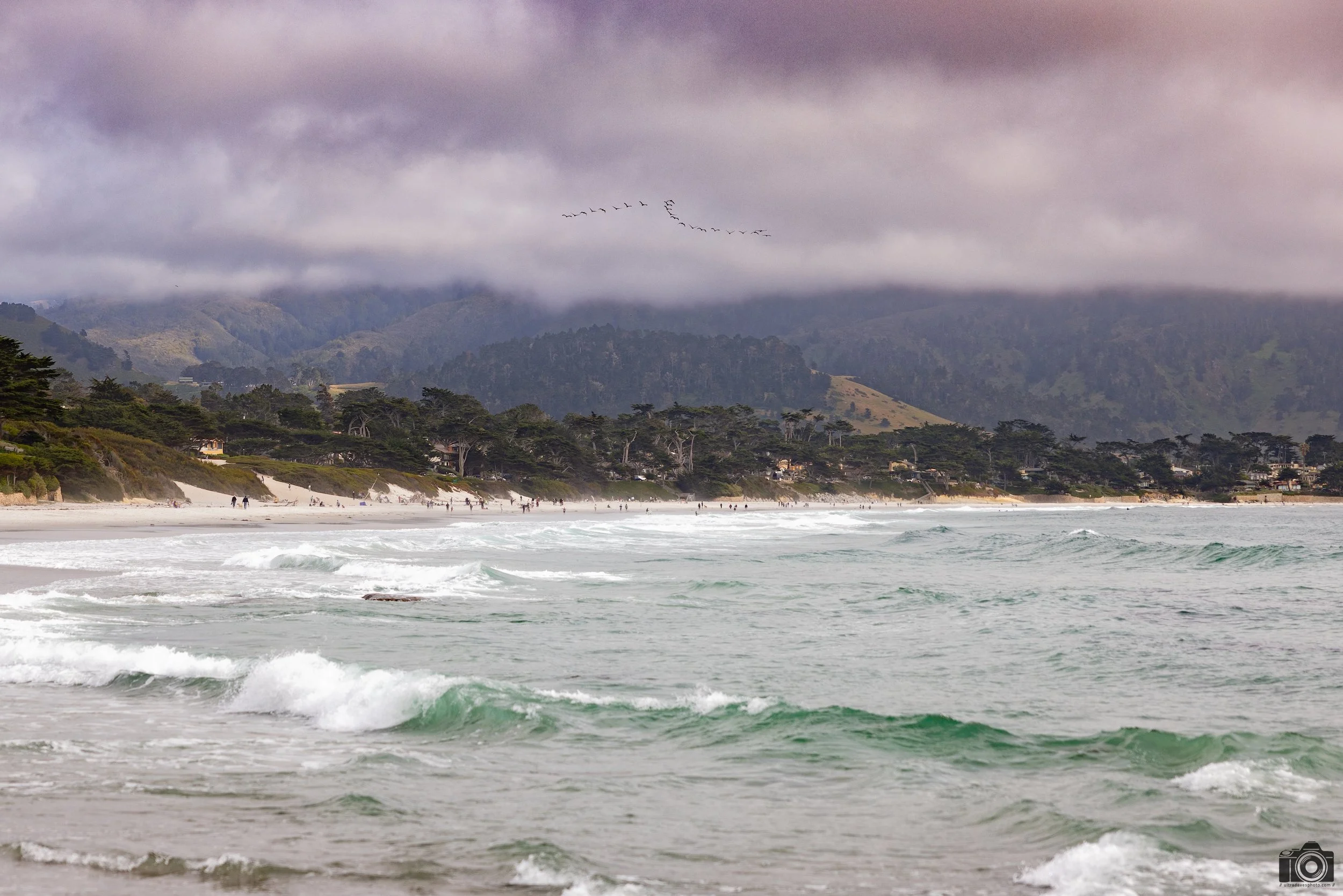 Taking Formation.  Shot taken with a Canon EOS R5 with an RF 24-70mm f/2.8L @ 70mm - f/2.8 ISO 100 1/800s.