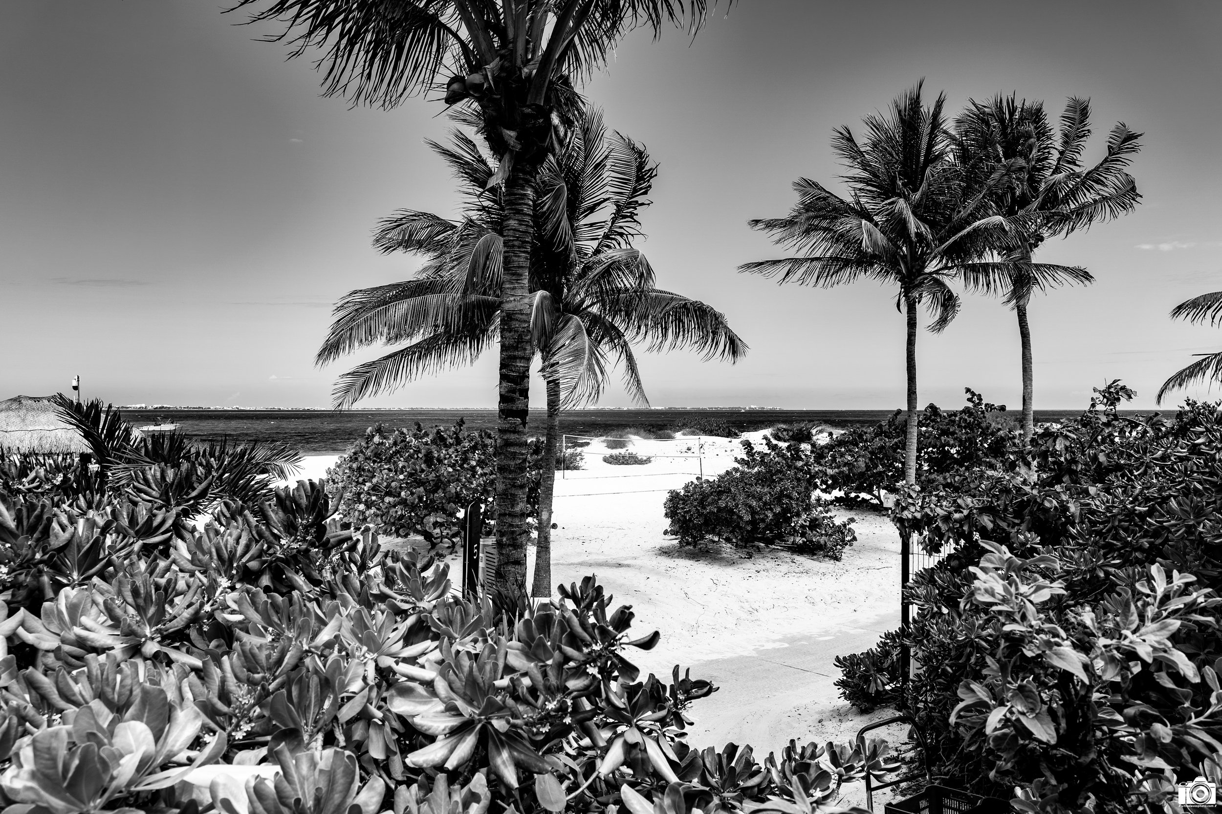 On the Beach in B&W.

Loungers under palapa's, loungers with umbrellas, and a beach bar hut = 🥳

Shot taken with a Sony a7C // FE 28-60mm @ 28mm - F8 - ISO 100 - 1/160s.