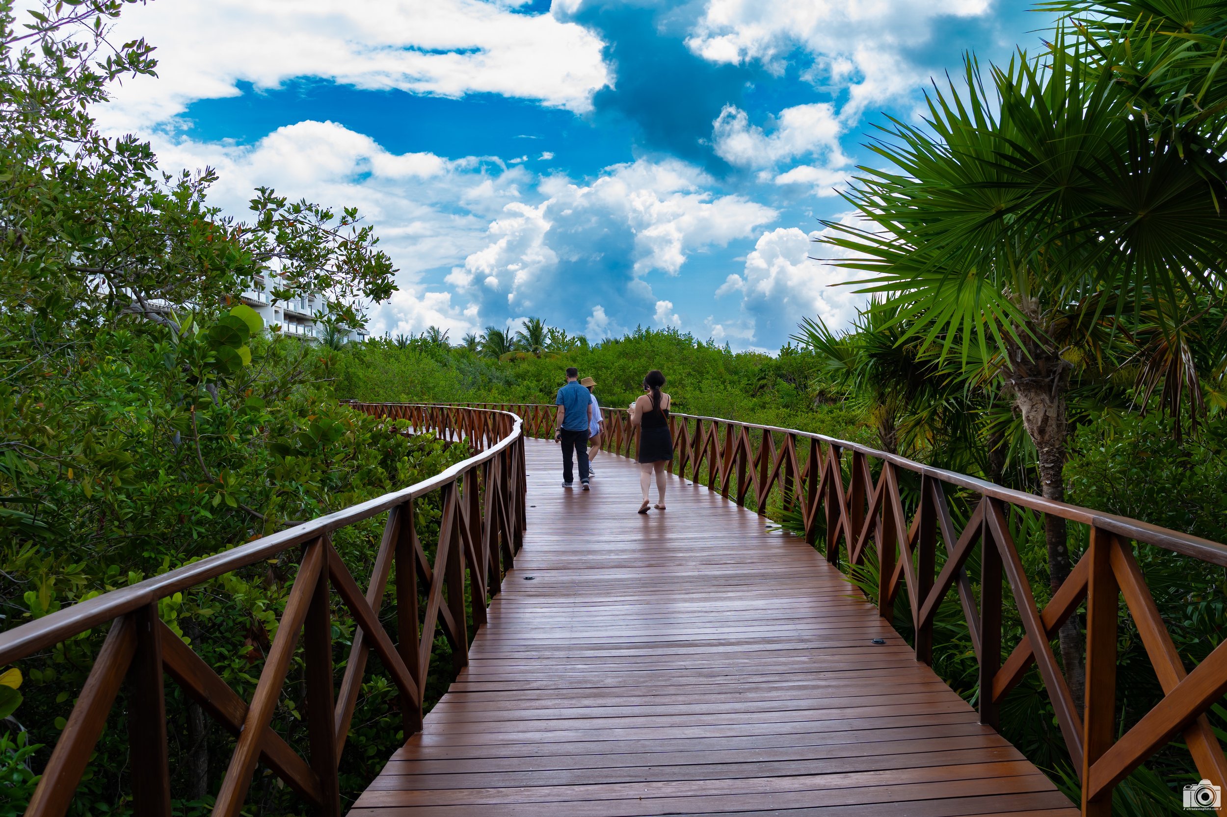 On the Wooden Path...

Shot taken with a Sony a7C // FE 28-60mm @ 30mm - F8 - ISO 100 - 1/125s.