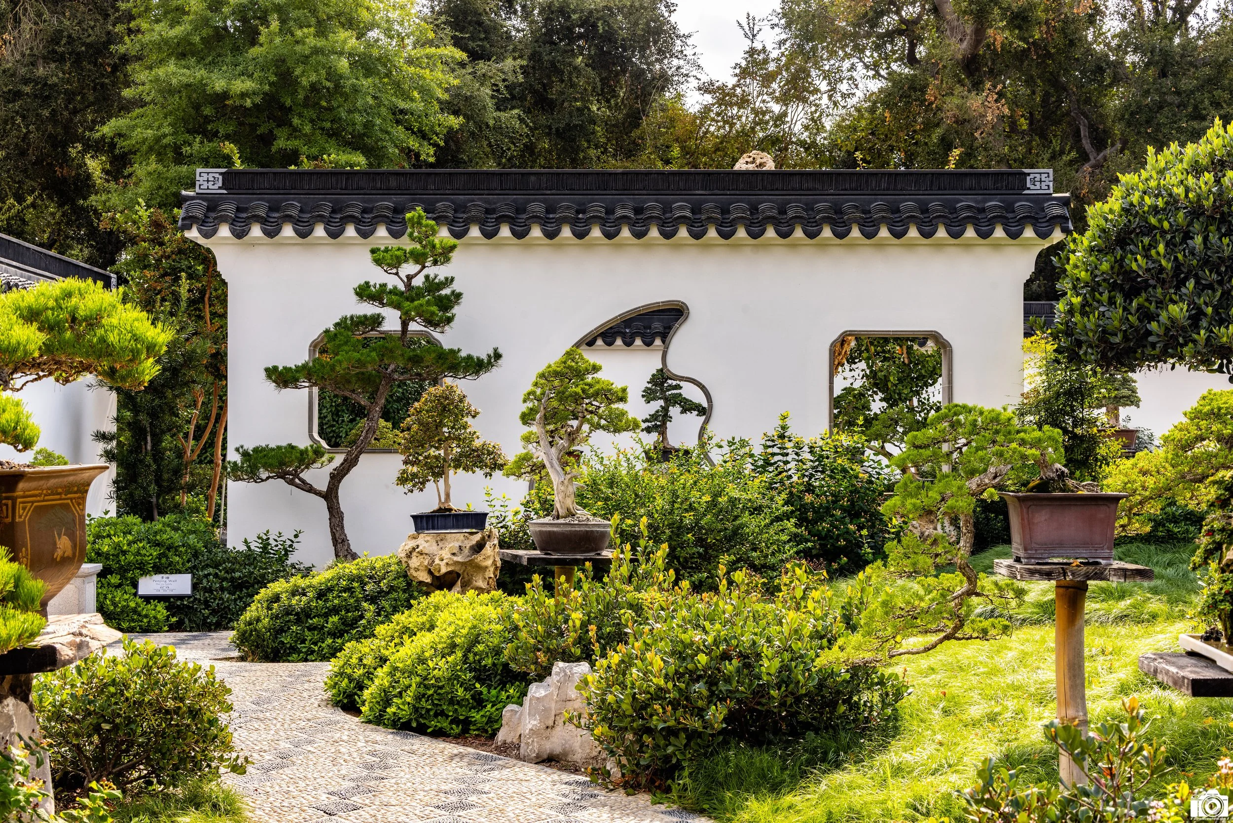 2023 - The Bonsai Way...  Shot with a Canon EOS R5 // 70-200mm f/2.8 L @ 70mm f11 - ISO 250 - 1/125s.