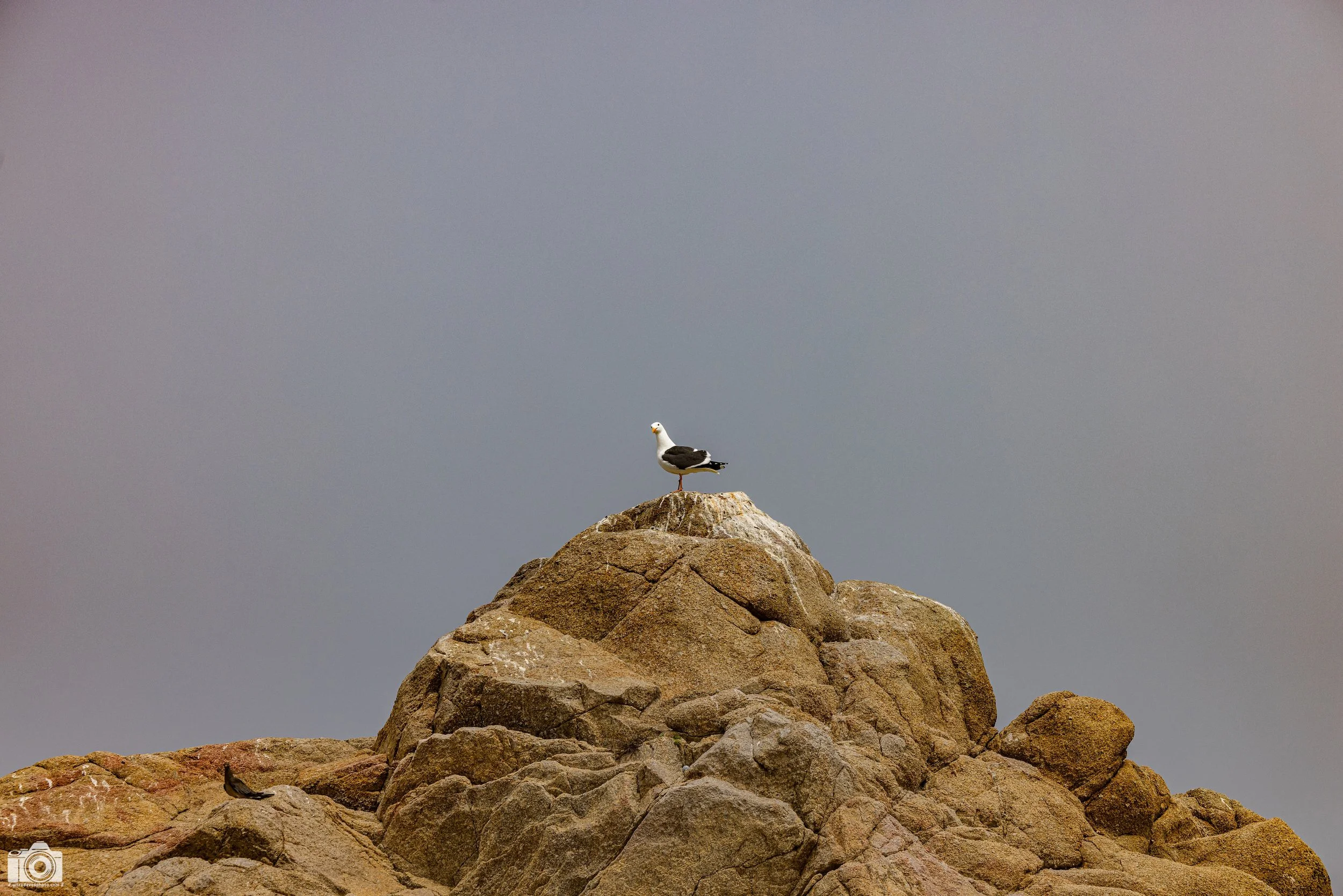 Elimination Rock v2.0.  Shot taken with a Canon EOS R5 with an RF 70-200mm f/2.8L @ 135mm - f/5.6 ISO 50 1/1000s. 