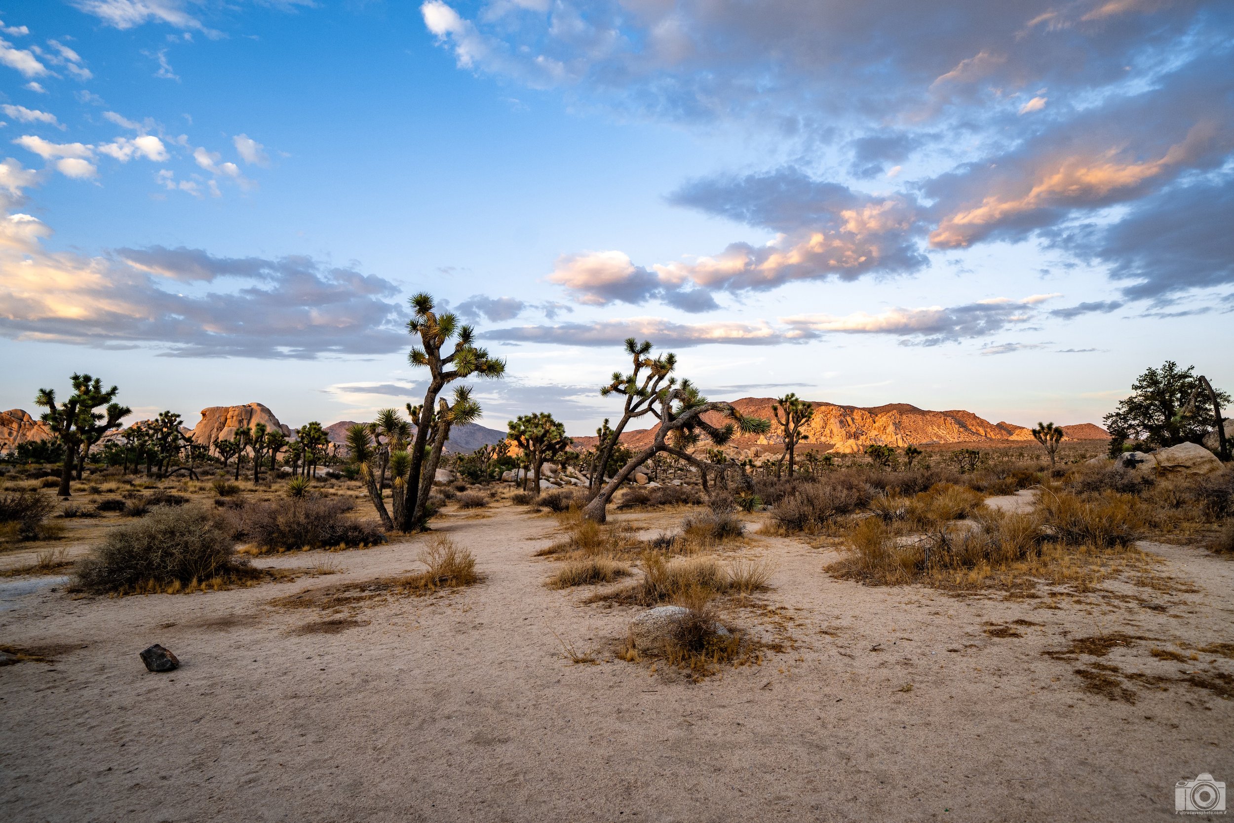 2024 - Off the Beaten Path.  Shot with a Sony a7c II // FE 12-24mm G @ 20mm f/4 ISO 100 - 1/400s.-