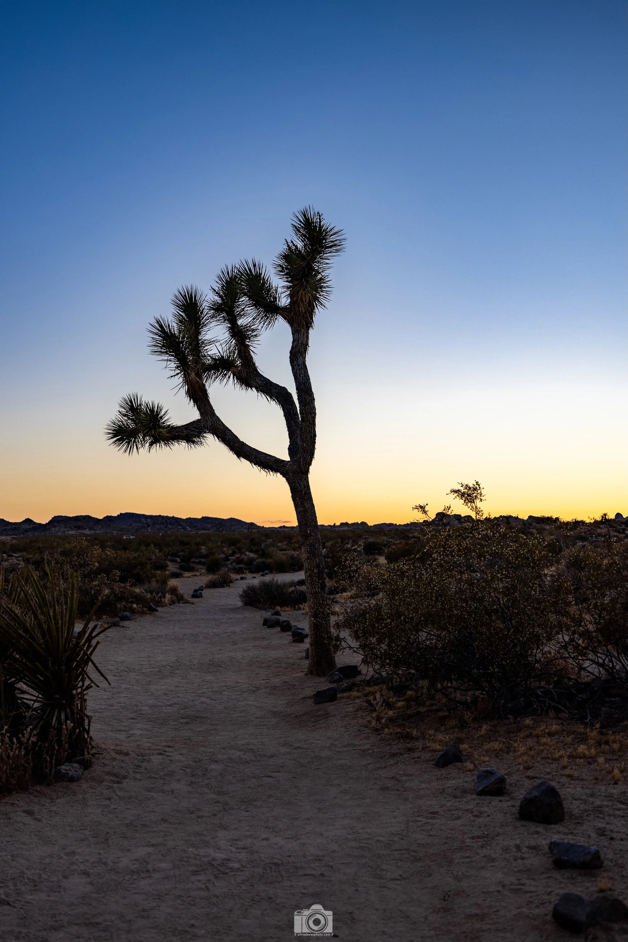 2024 - Follow the Path.  Shot with a Canon EOS R5 // RF 15-35mm @ 35mm f2.8 ISO 125 1/200s.