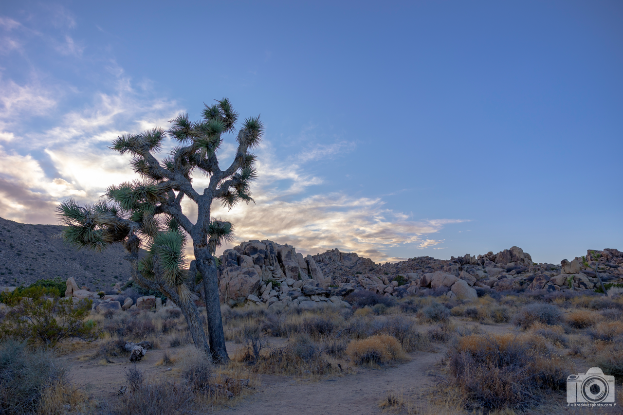 2020 - Jumbo Rock, Joshua Tree. After this trip, it's been my goal to go at least once a year if possible. Shot with a Canon EOS R6 // RF 24-70mm @ 24mm f/3.2 ISO 100 - 1/400s.