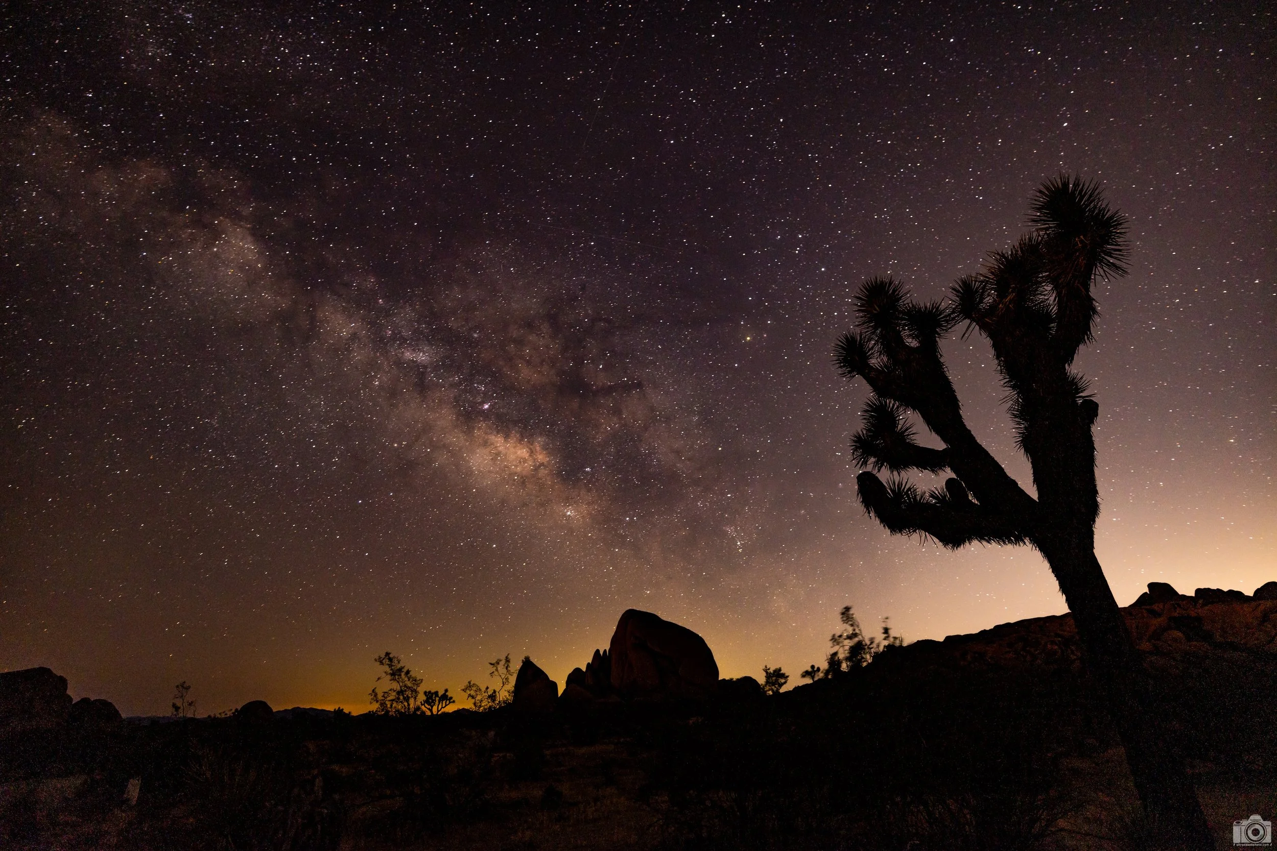Joshua Tree Milky Way - Full Resolution JPG Download