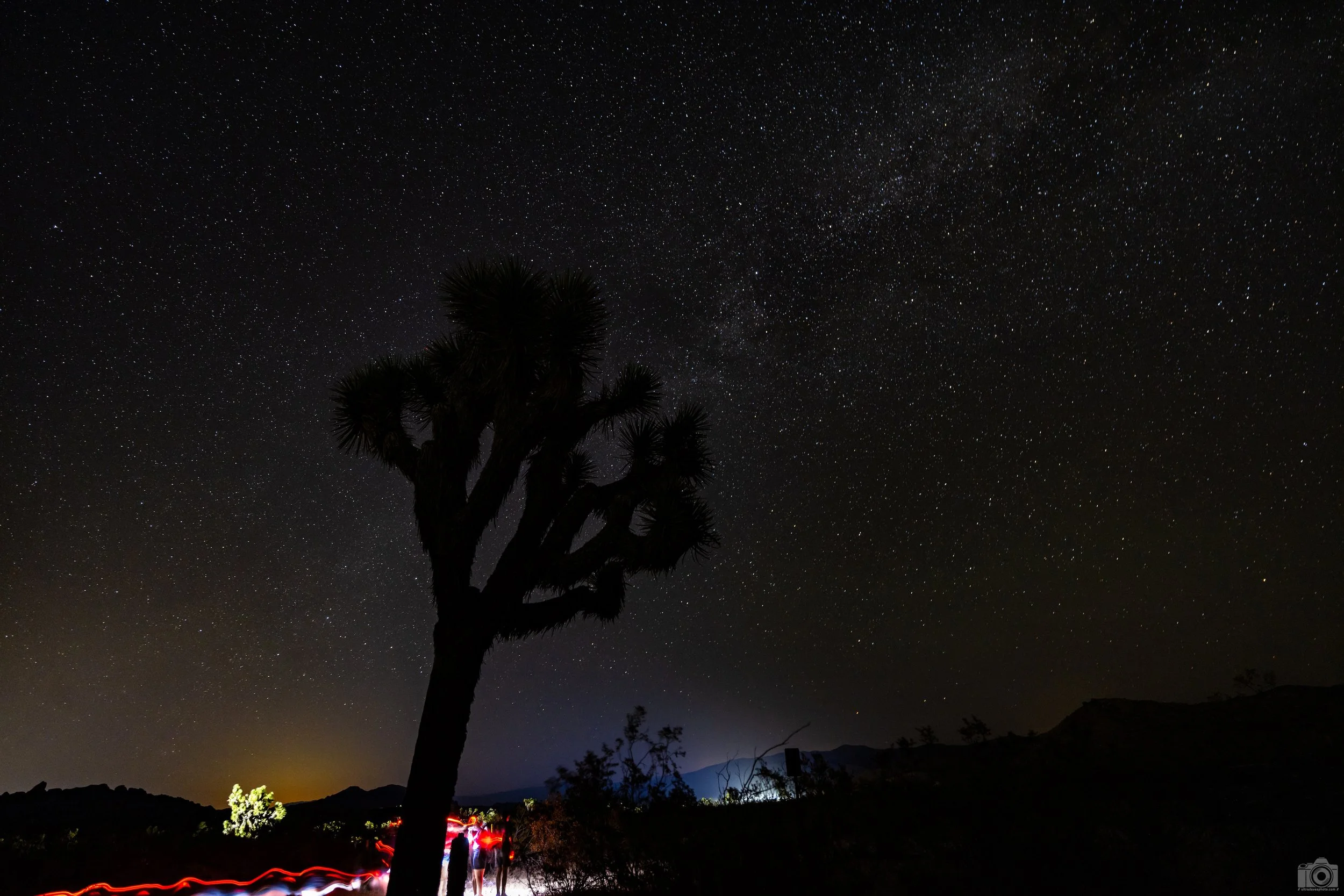 2024 - Headlamps.  My kids decided to  light the way on their search for critters.  It was a hot night as well.  Shot with a Canon EOS R5 // RF 15-35mm @ 20mm f/2.8 ISO 1600 - 25s.  Tripod mounted.