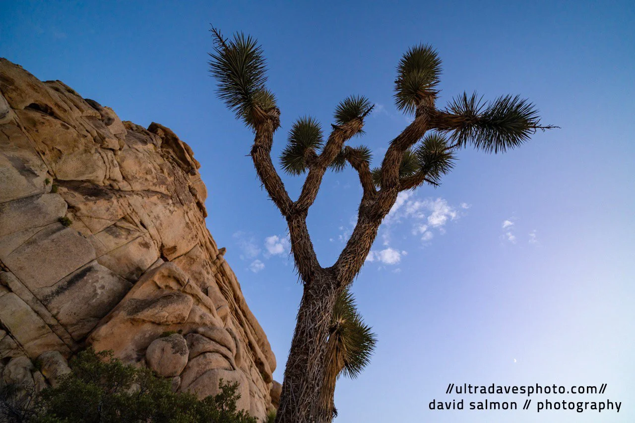 2024 - Reach for the Sky! Shot with a Sony a7c II // FE 12-24mm G @ 12mm f/4 ISO 640 - 1/100s.