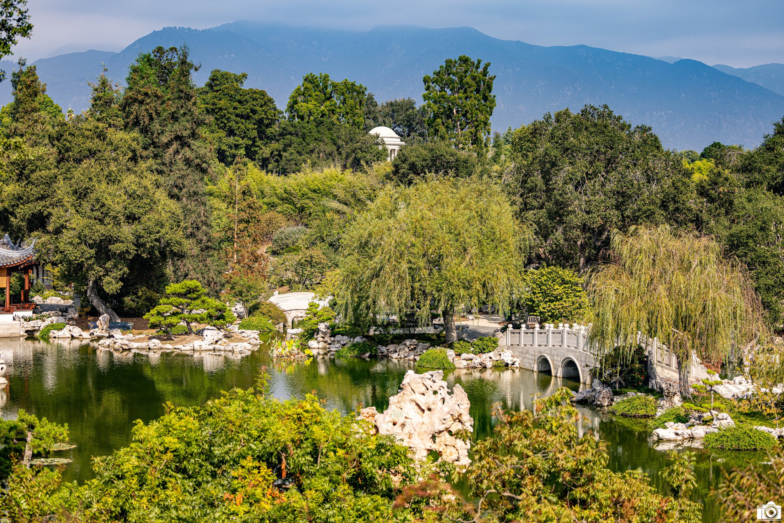 2023 - Huntington Botanical Gardens features several ponds which makes for great landscape photography providing inner peace.  It's best to linger...  Shot with a Canon EOS R5 // 70-200mm f/2.8 L @ 70mm f2.8 - ISO 125 - 1/1600s.