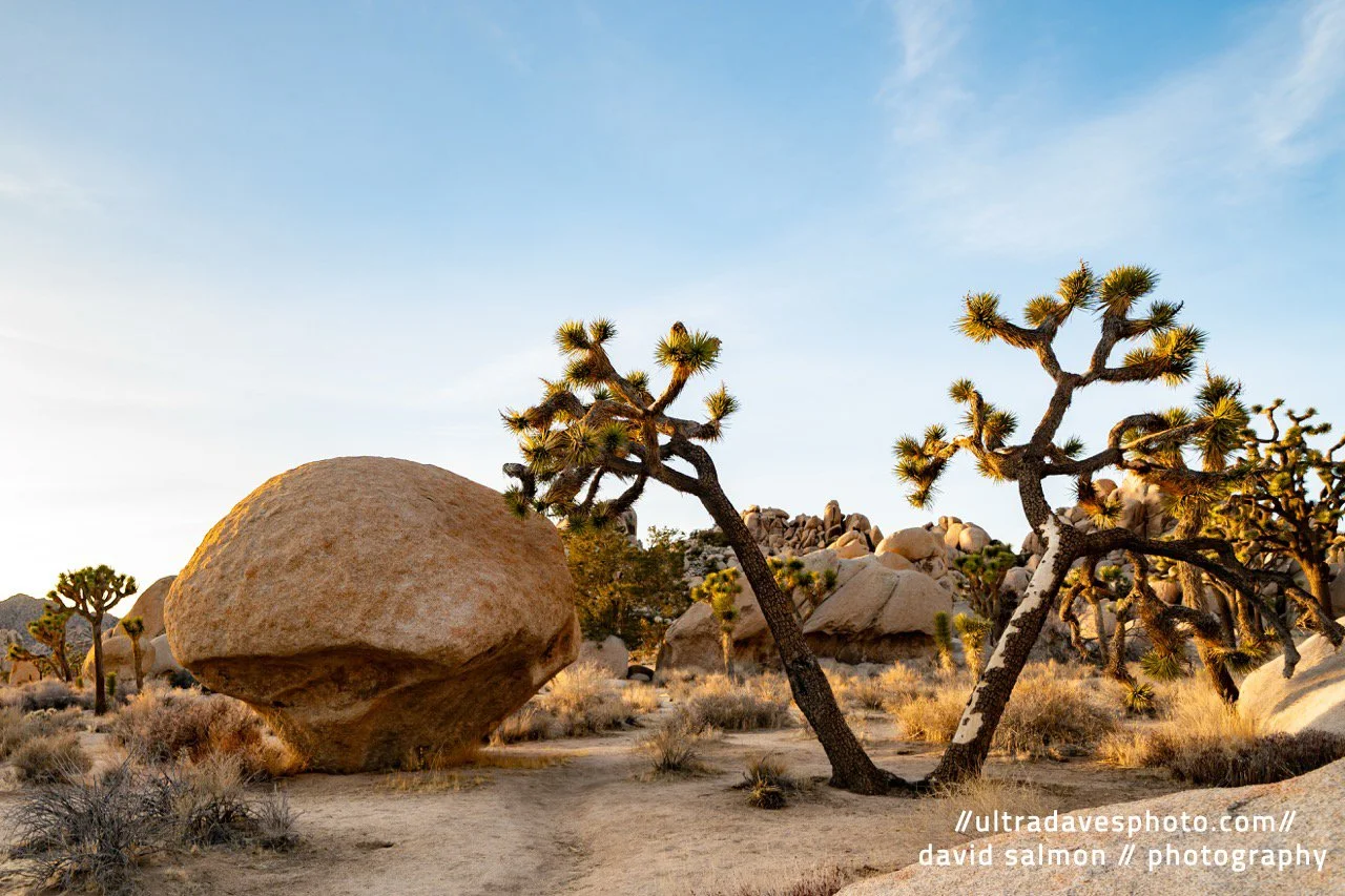 2025 - Siamese Trees and Mushrooms Rocks. Shot with a Sony a7c II // FE 12-24mm G @ 18mm f/4 ISO 100 - 1/100s.