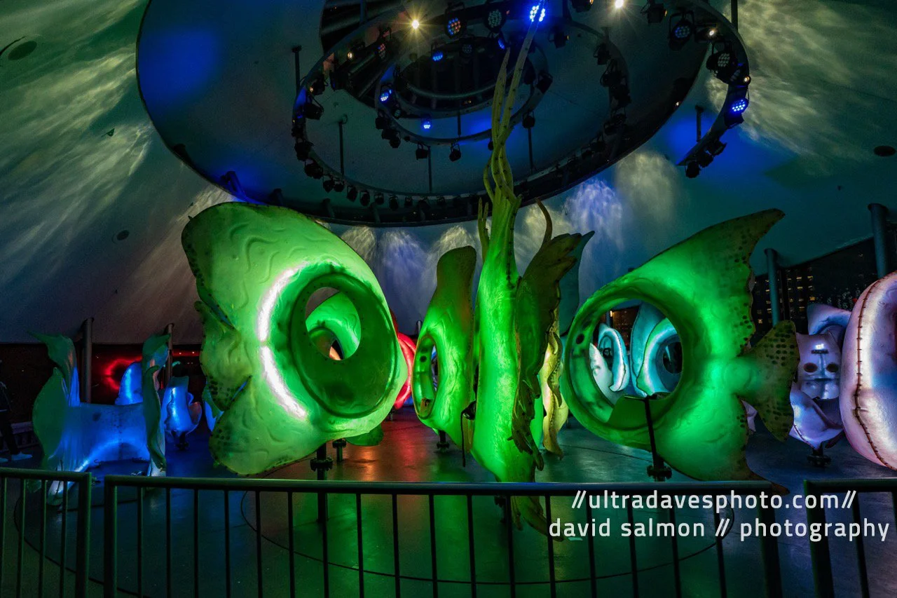 The Sea Glass Carousel @ The Battery. Cool to see at night. Shot with a Sony a7c II // FE 12-24mm G @ 15mm f/4 ISO 6400 - 1/800s.