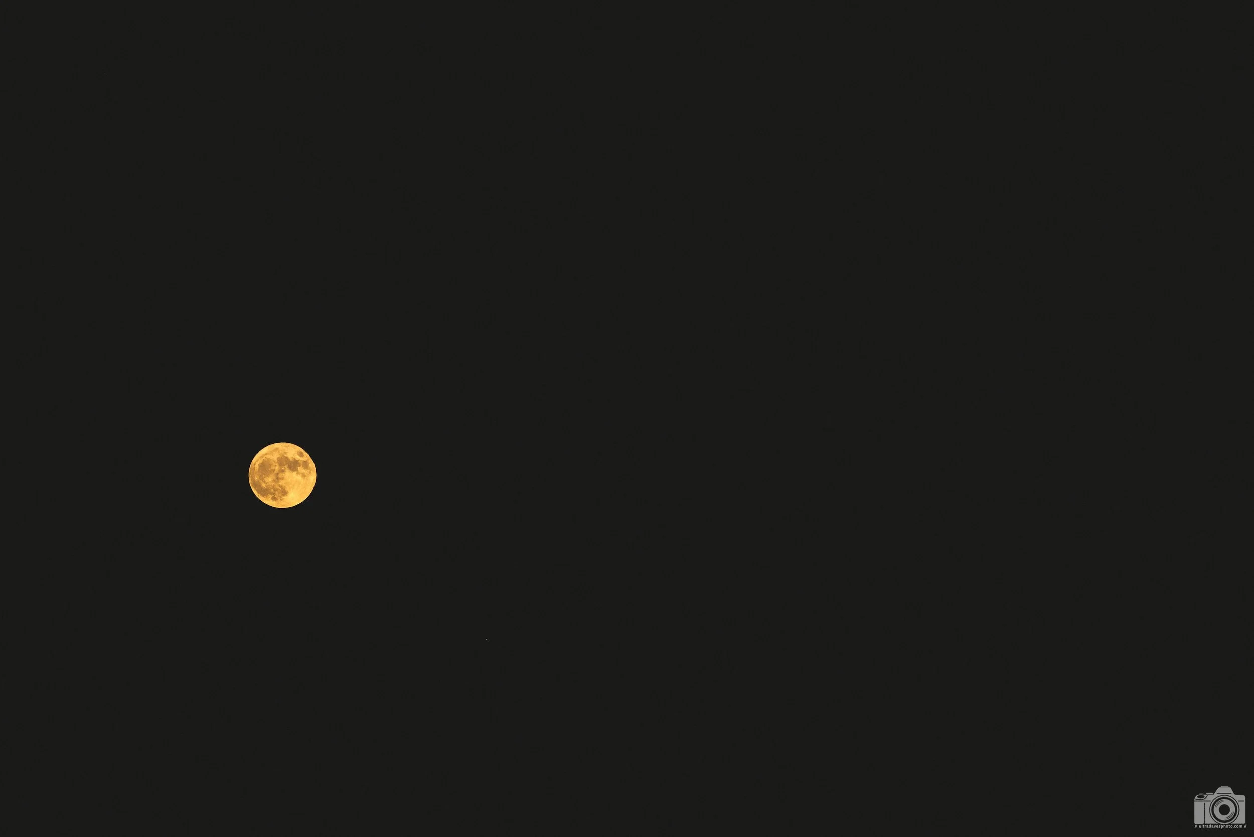 2023 - It's Matte Tonight!  Shot with a Canon EOS R5 // RF 70-200mm f/4 IS L  @ 200mm f/4 ISO 500 - 1/400s. 