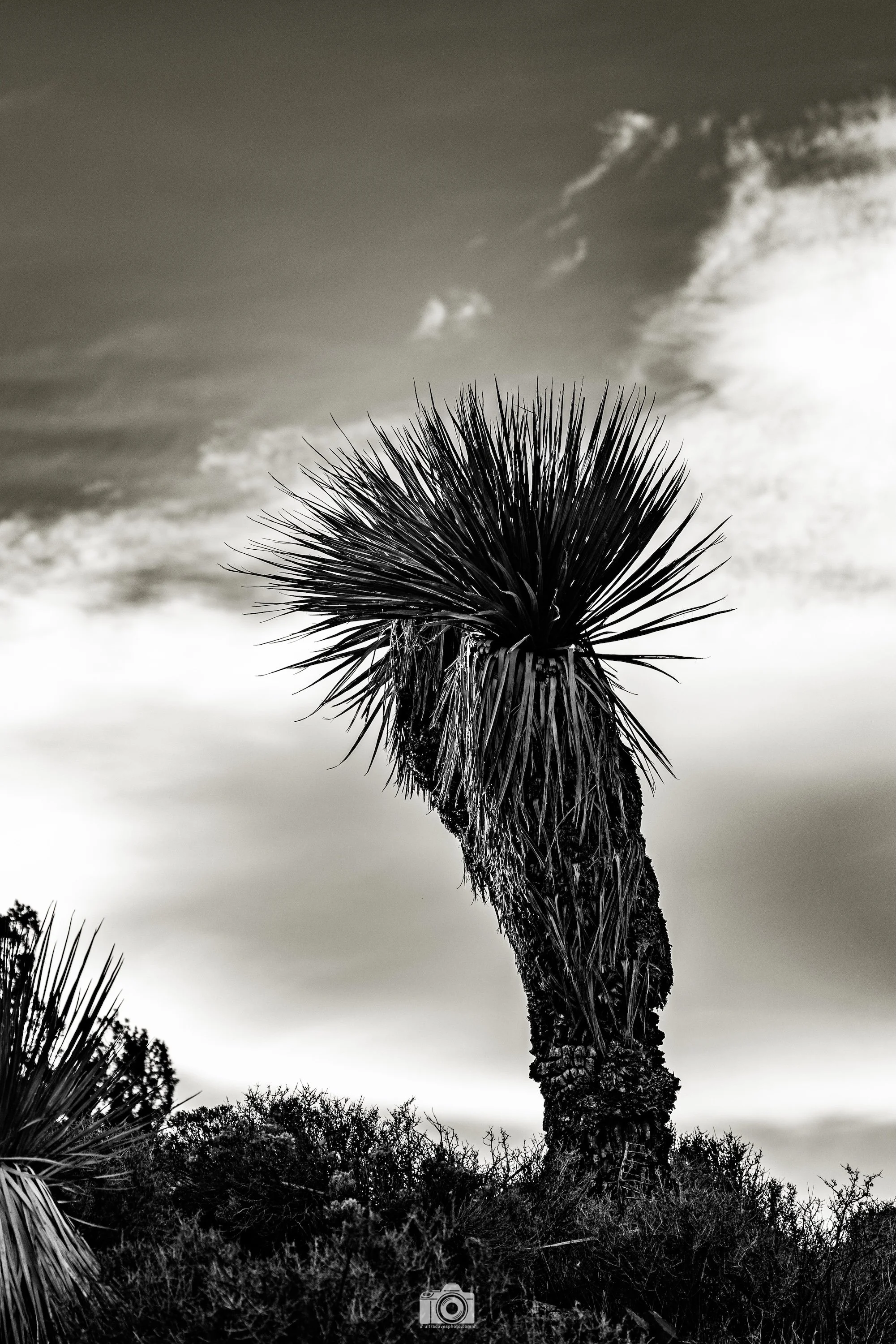 2025 - Inverted Latte Art.. We came to the Lost Horse Mine, however, it was too late to do the short hike.  We'll save it for the next trip!  Shot with a Canon EOS R5 // 70-200mm F4L @ 148mm f/4 ISO 100 - 1/400s.