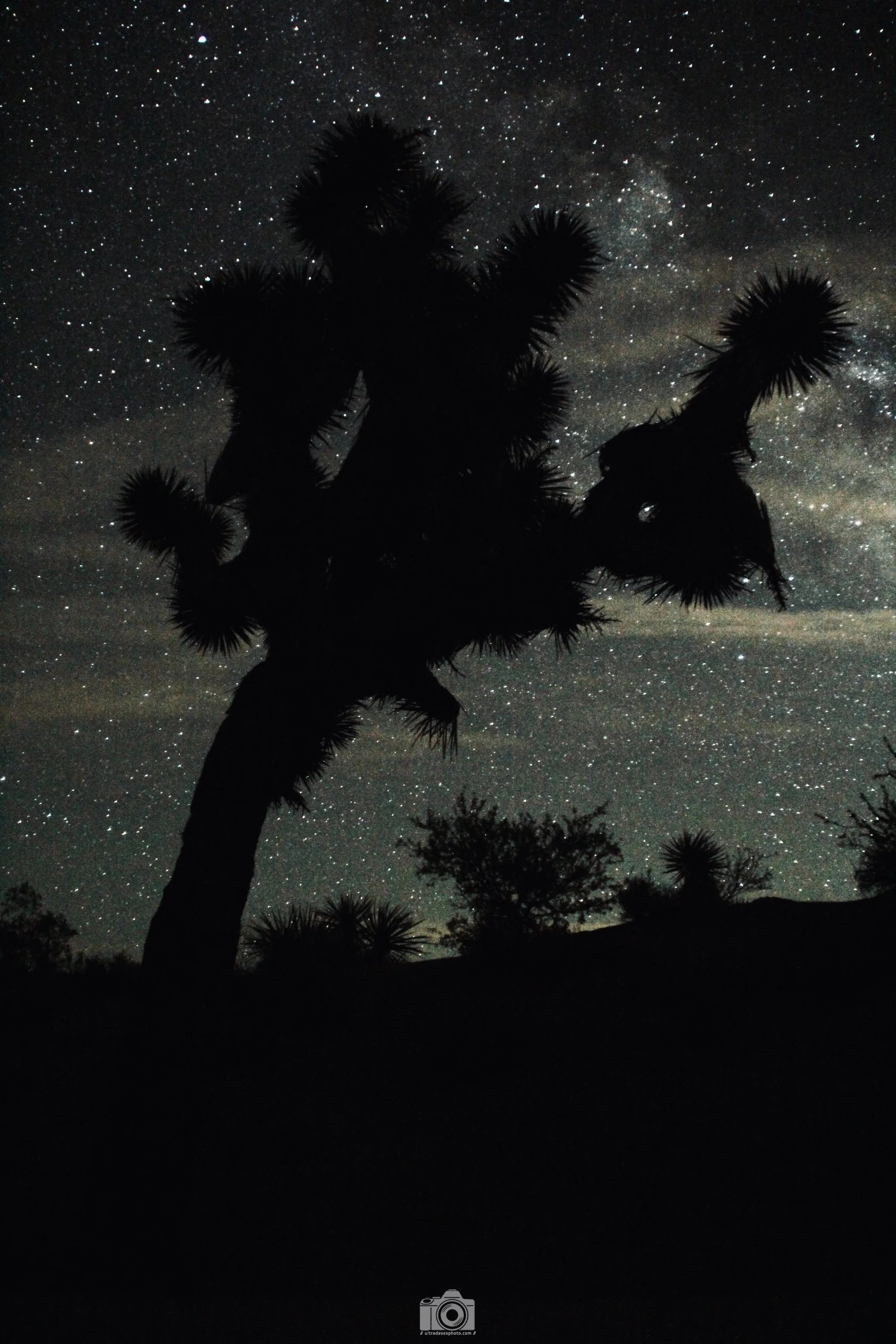 2015 - My Obsession. Shot with a Canon EOS 60D // EF 18-200mm @ 18mm f3.5 ISO 3200 15s. Camera resting on a flashlight on a picnic table.  I had no idea what I was doing but I had already shifted out of auto.
