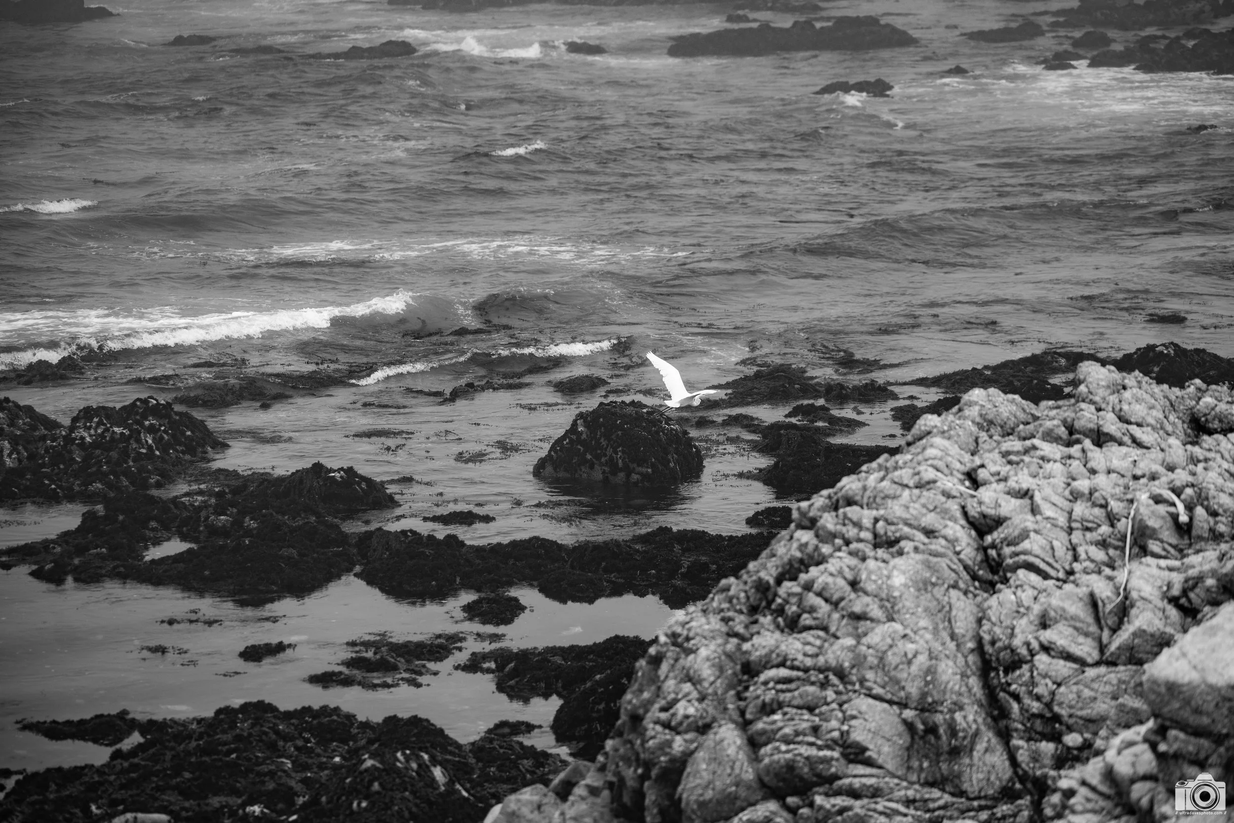 Catching More Air.  Shot taken with a Canon EOS R5 with an RF 70-200mm f/2.8L @ 135mm - f/2.8 ISO 100 1/3200s.