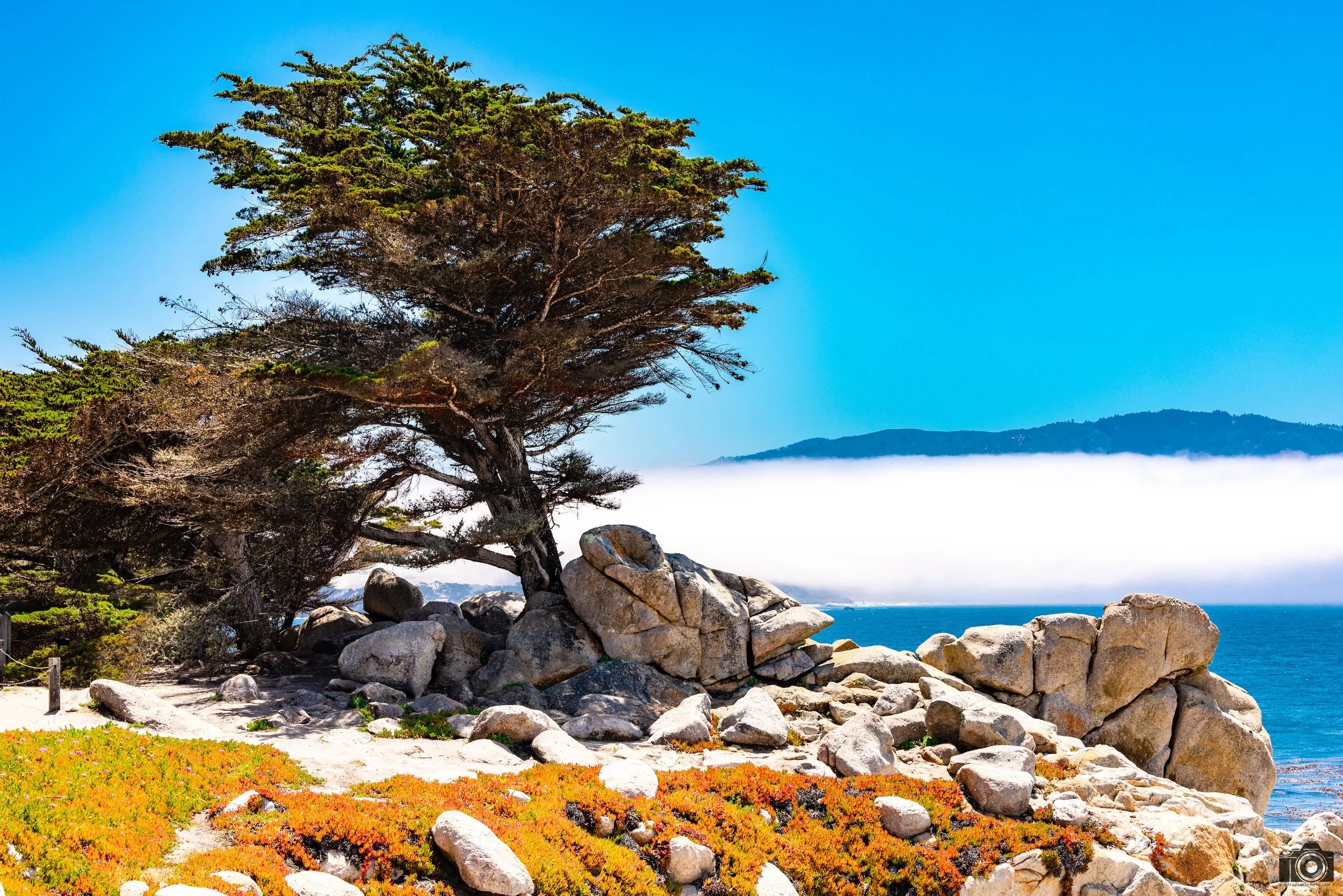 The cloud layer was so thick that the peninsula looked like a floating island.  While I was out marveling at this site, my family was sitting in the car because it was too cold out, somewhere around 54 degrees F.  To us Cali Natives, that's cold!  So