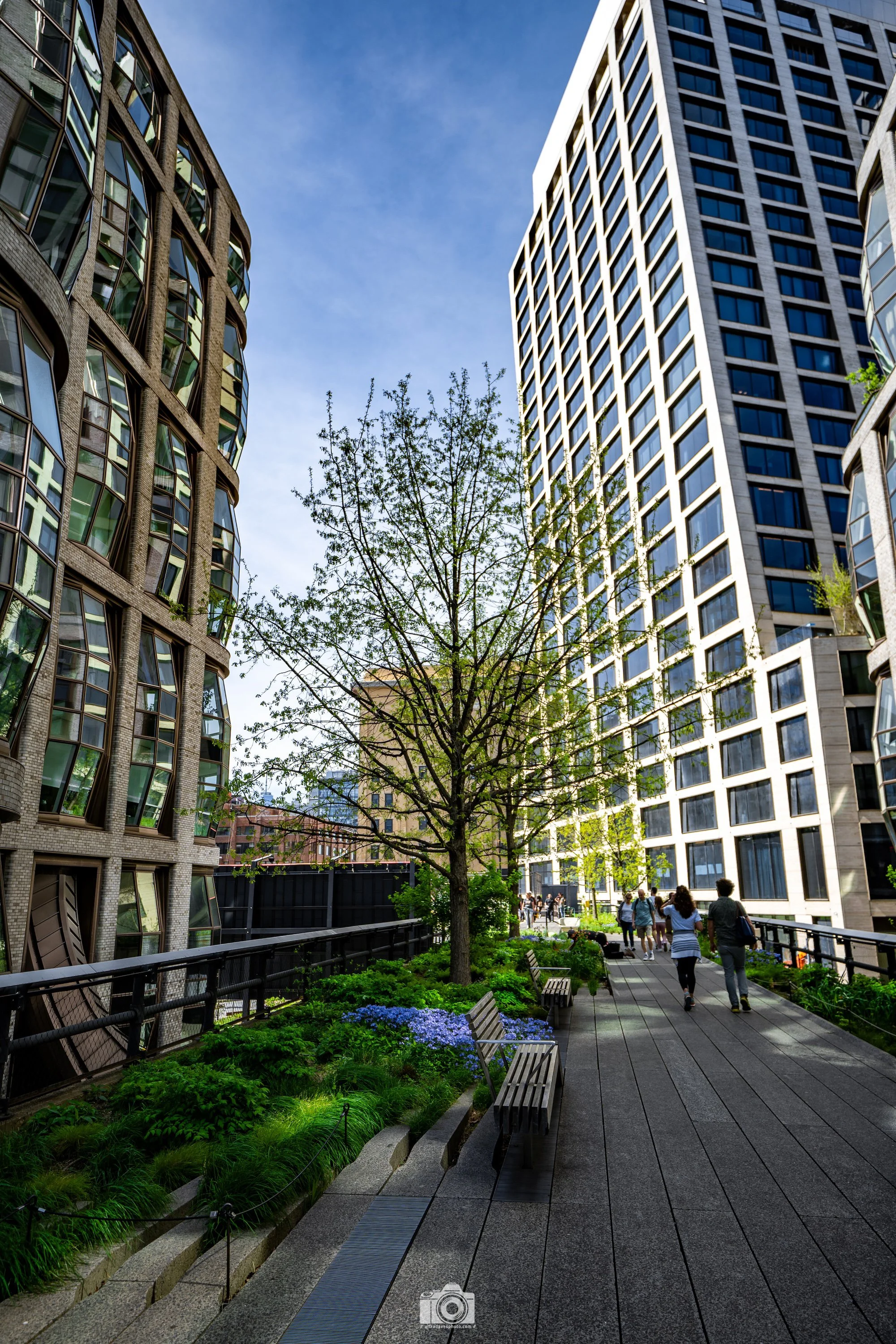2025 - High Line Living, NYC.  Shot with a Sony a7c // FE 12-24mm @ 24mm f/4 ISO 125 - 1/640s.