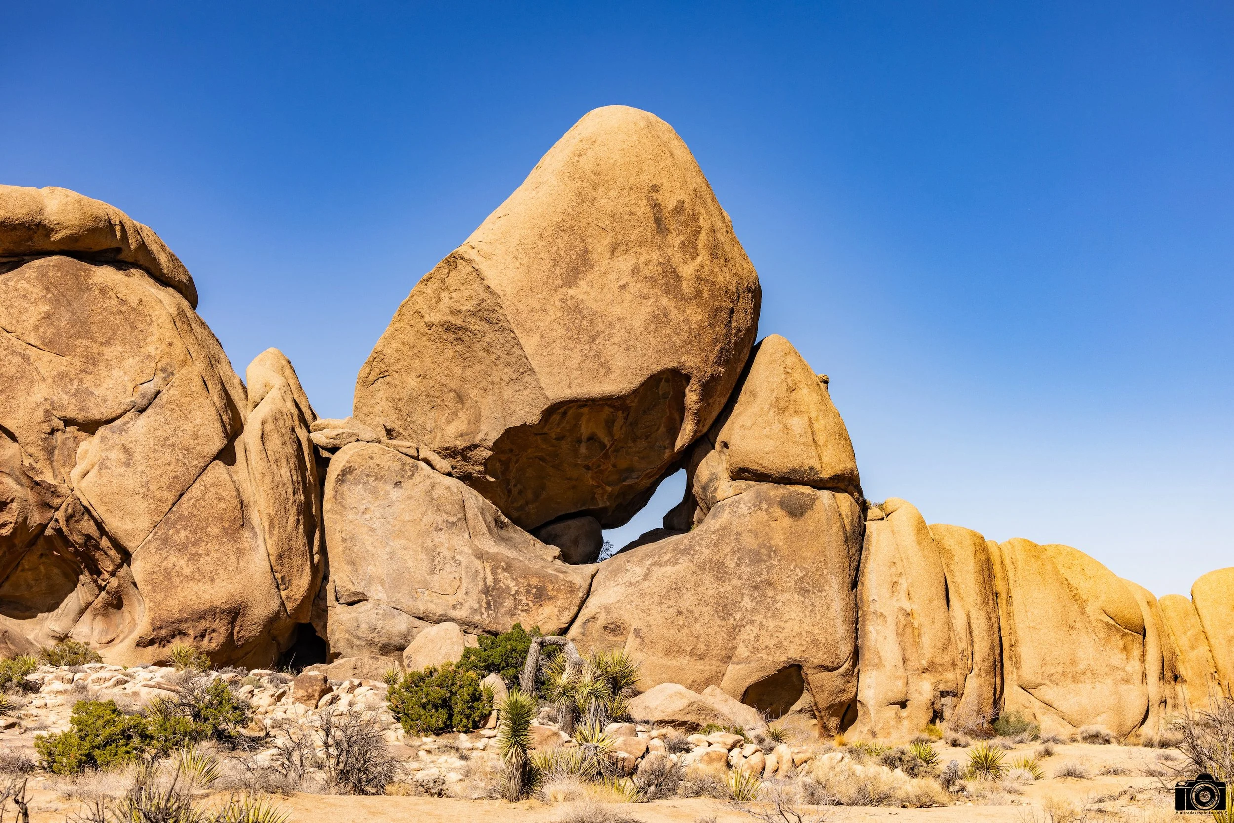 2025 - Mmm Skyscraper, I Love You.  Shot with a Canon EOS R5 // RF 70-200mm @ 70mm f/5.6 ISO 100 - 1/800s.