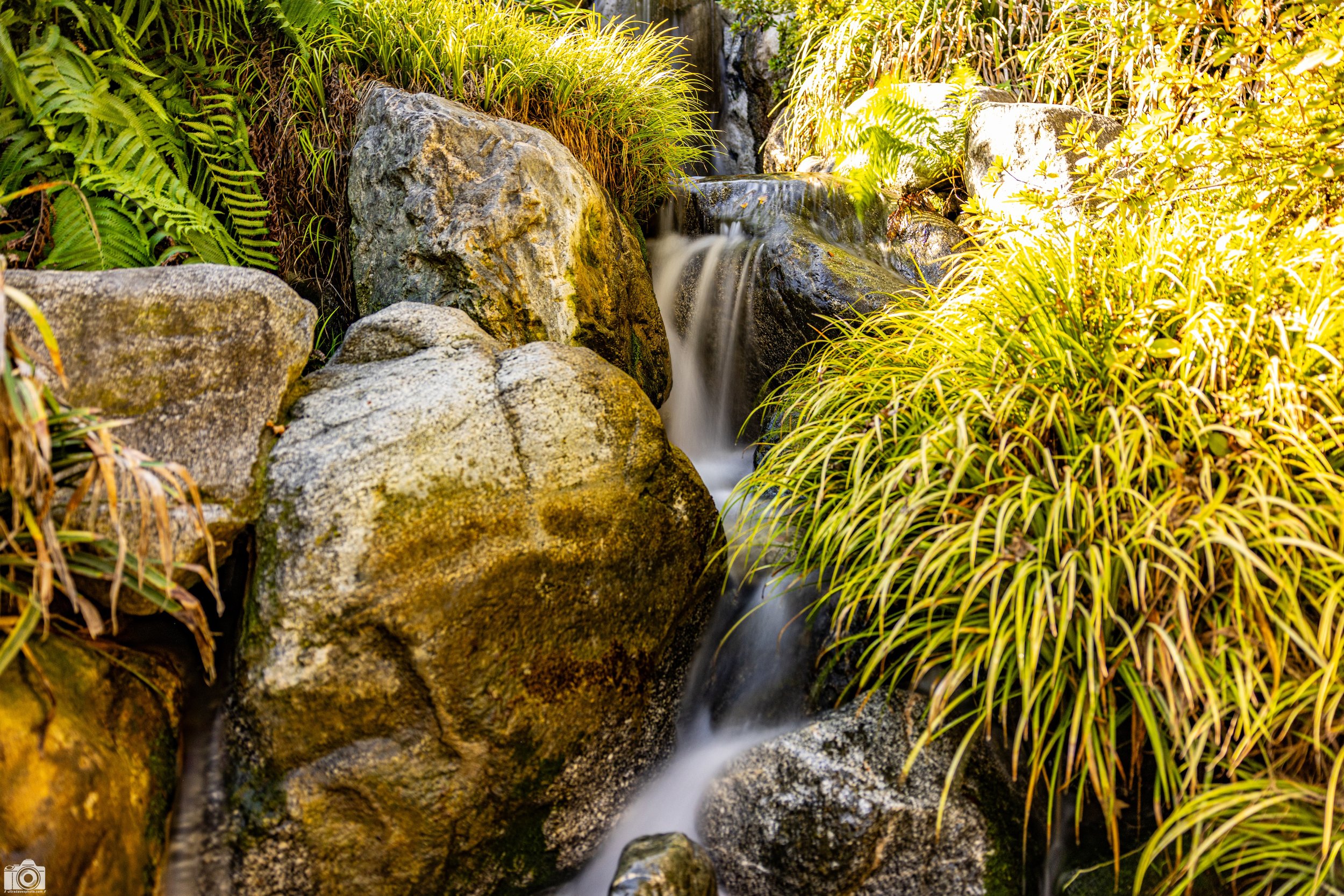 2025 - Soft Falls v2.0.  I don't know if the Huntington has any larger waterfalls, but I've captured this one once before but I failed to bring a tripod with me so I couldn't prop it up on anything for a long exposure.  This trip I came prepared with