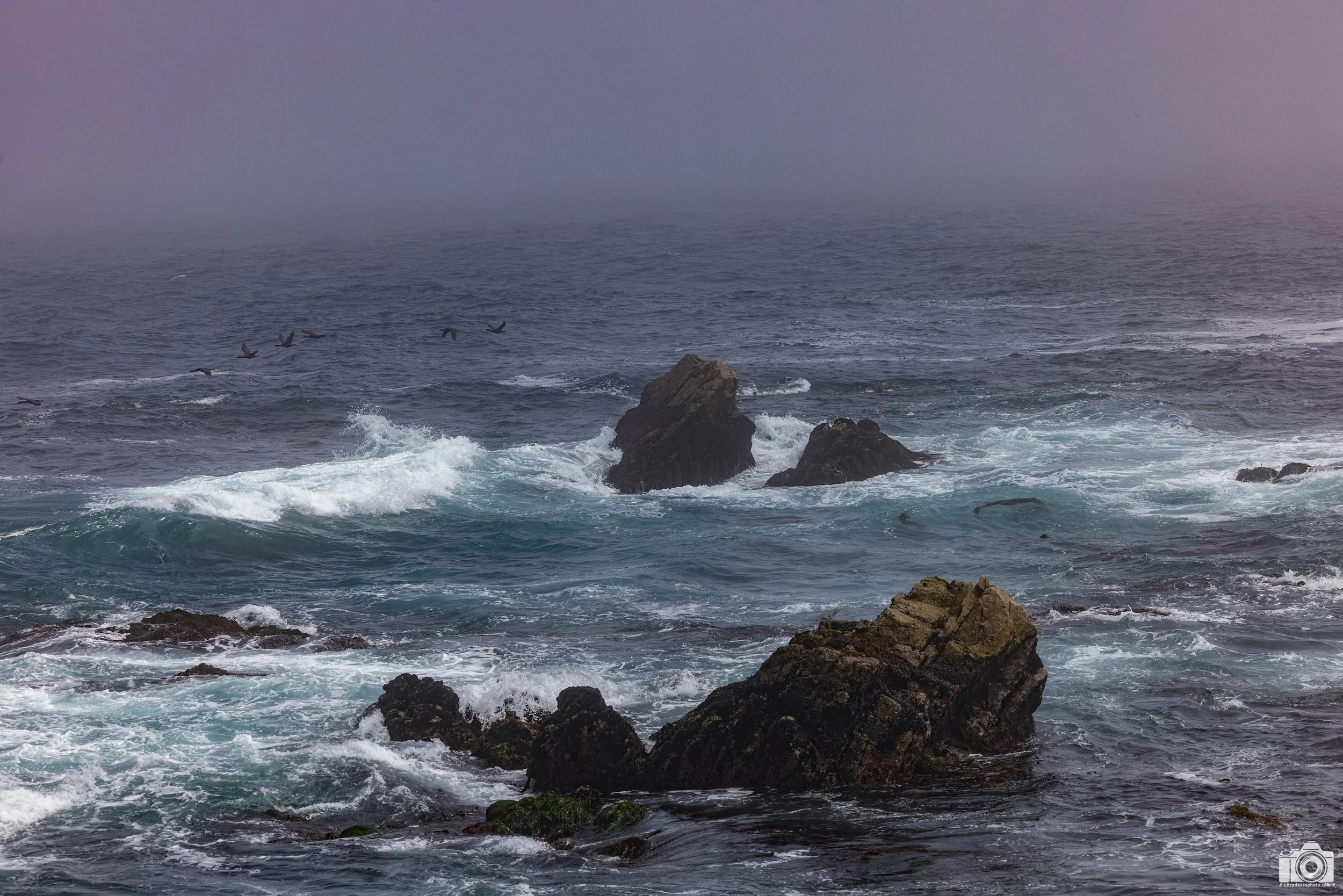 Follow The Leader.  Shot taken with a Canon EOS R5 with an RF 70-200mm f/2.8L @ 111mm - f/6.3 ISO 50 1/400s.