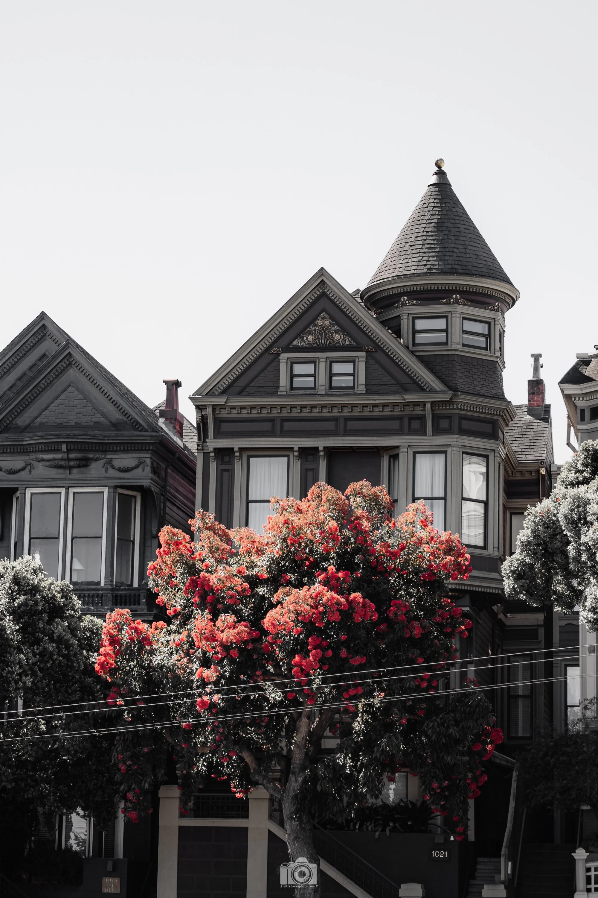 Fast Forward to 2022... San Francisco...  Shot taken with a Sony a7C // 28-60mm @ 60mm f/9 ISO 100 - 1/125s.